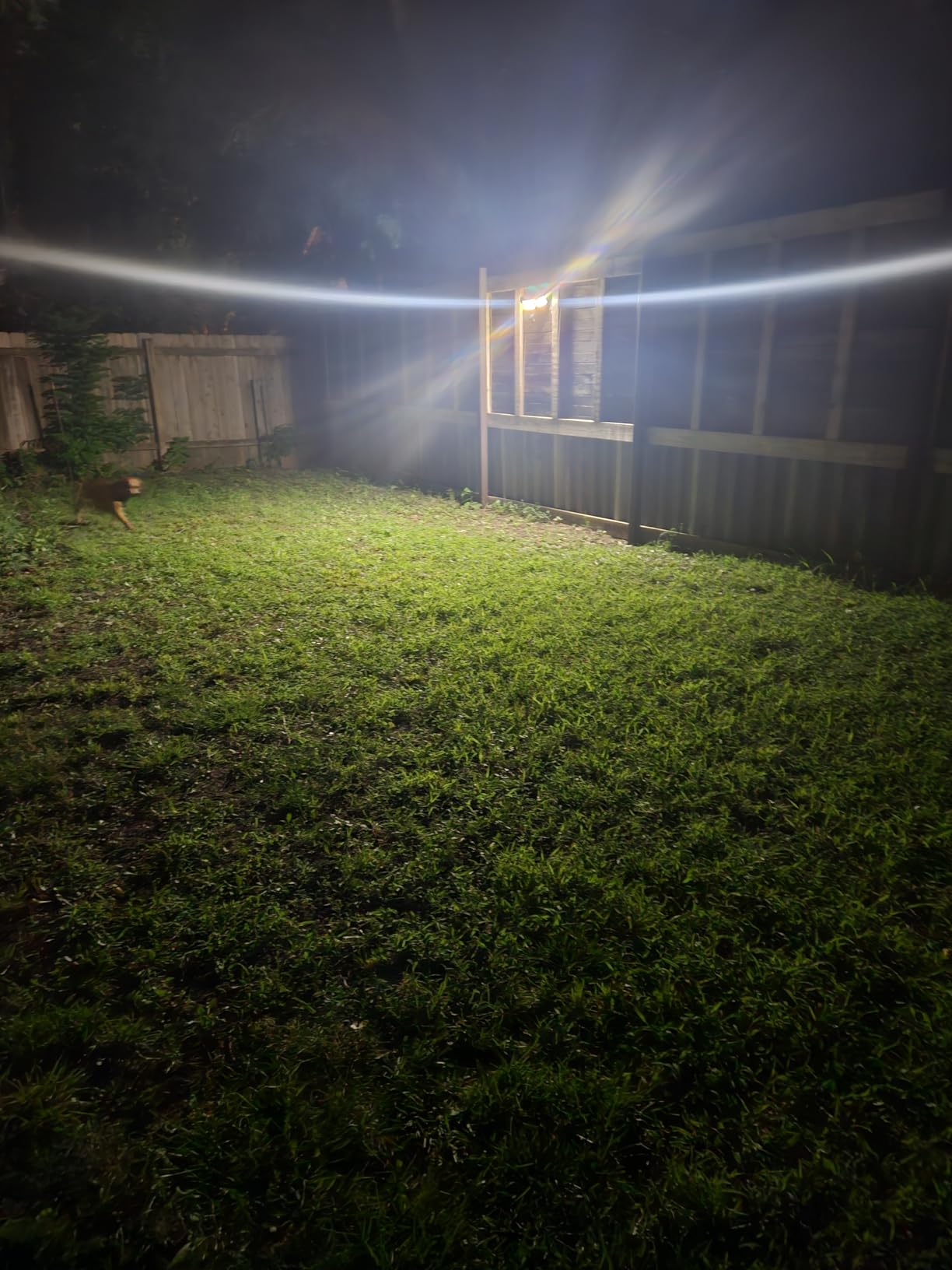 LEPOWER Battery Powered LED Flood Light Outdoor, 1500LM Motion Sensor Security Lights, IP65 Waterproof, Wireless Flood Light Battery Operated, 3 Head Motion Detector Light for Garage, Yard, Porch (Black) customer photo 1