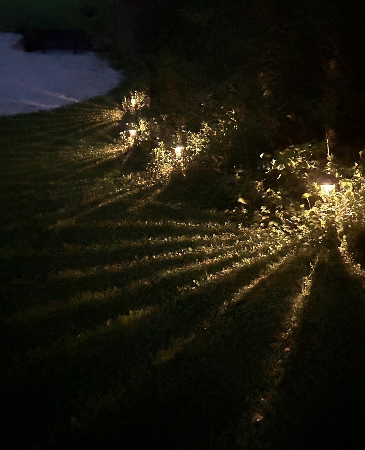 XMCOSY+ Solar Pathway Lights Outdoor - 6 Pack Solar Garden Lights, 10-40 LM Dimmable Solar Lights Outdoor Waterproof Auto On/Off IP 65 Solar Powered Landscape Lighting for Patio Walkway Driveway customer photo 1