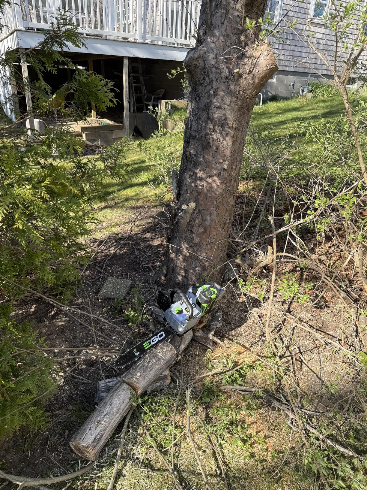Echo Chain Saw, 16