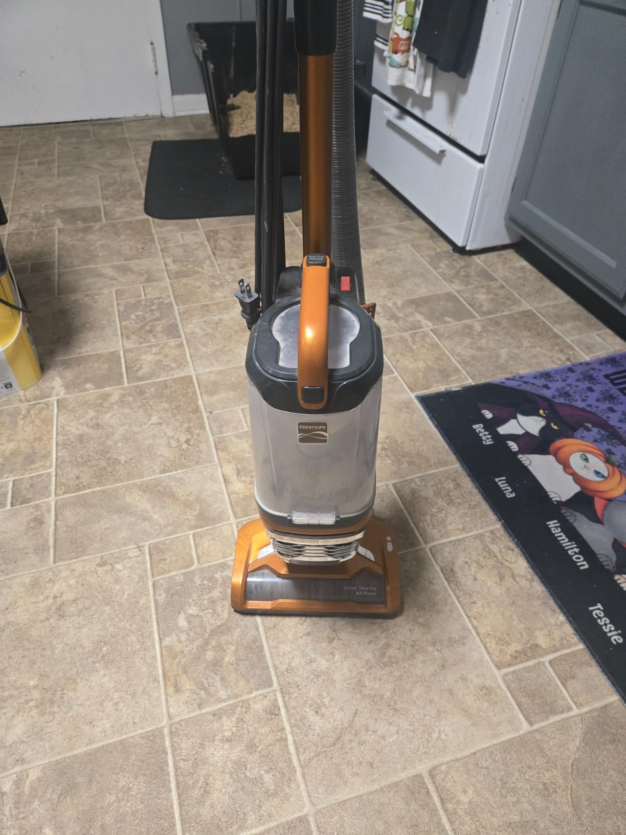 Kenmore DU4080 Featherlite Lift-Up Bagless Upright Vacuum 2-Motor Power Suction Lightweight Carpet Cleaner with HEPA Filter, 2 Cleaning Tools for Pet Hair, Hard Floor, Orange customer photo 1