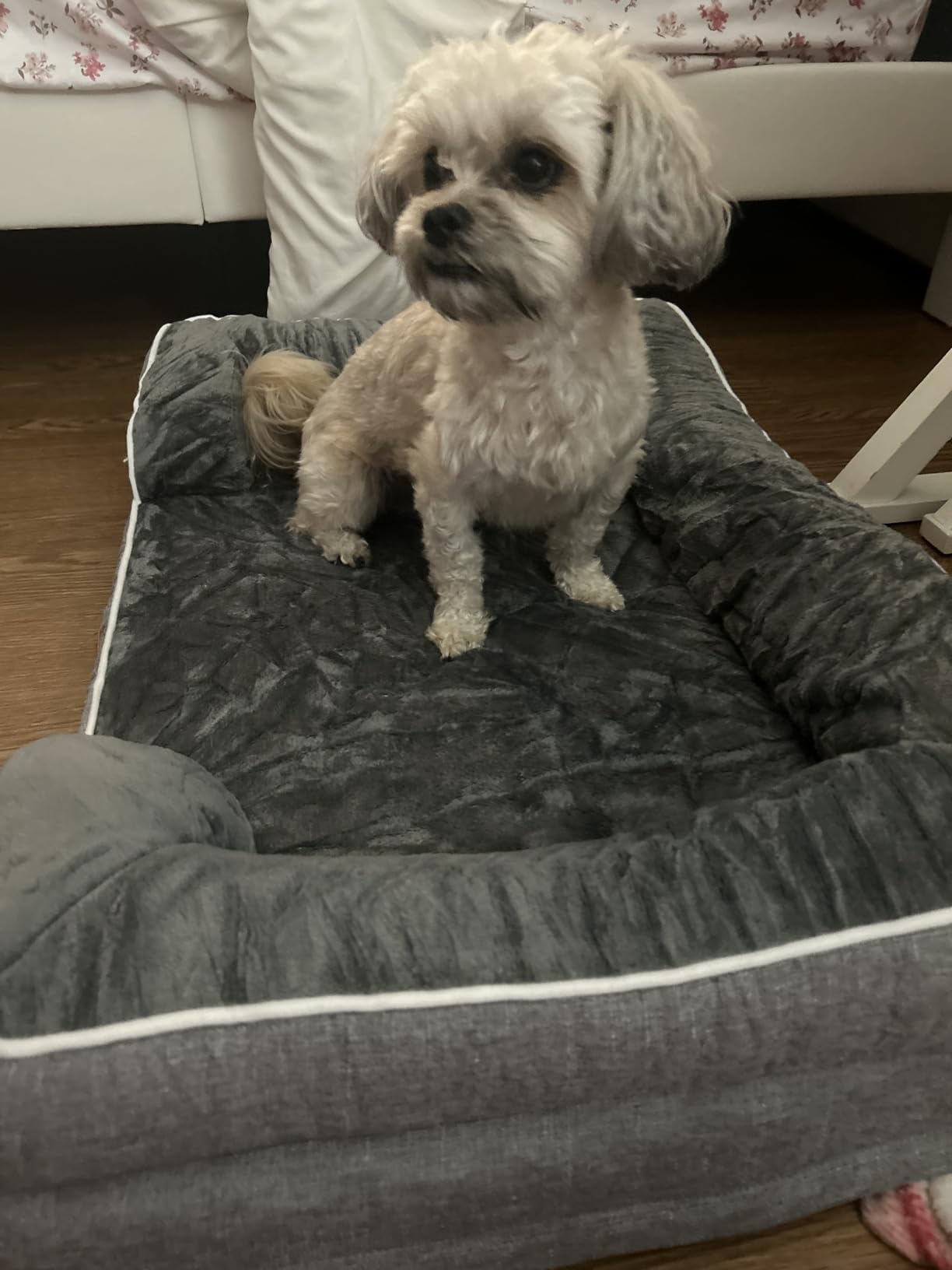 EHEYCIGA Orthopedic Dog Beds for Extra Large Dogs 44x32 Inch, Waterproof Memory Foam XL Pet Bed with Sides, Non-Slip and Egg-Crate Foam Big Dog Couch Bed with Washable Removable Cover, Grey customer photo 2