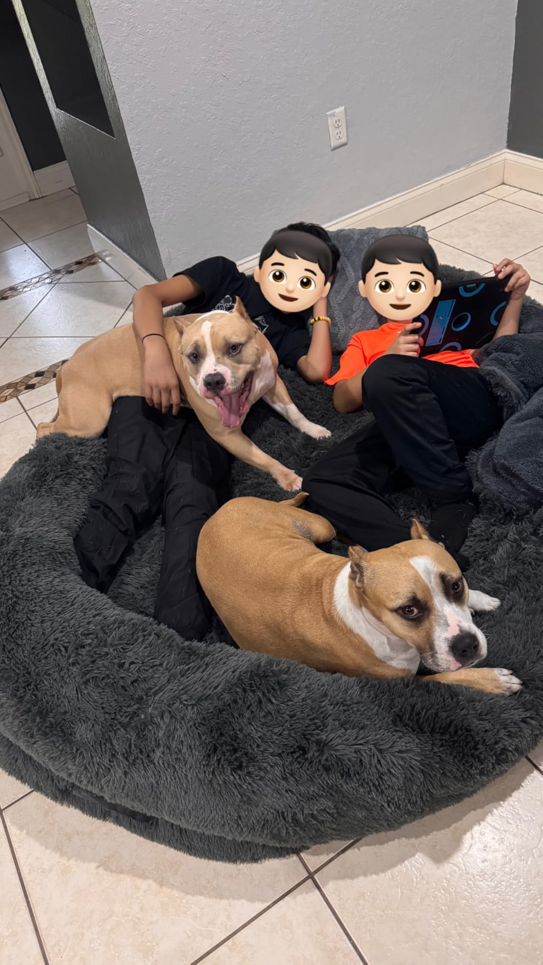 WROS Human Dog Bed - 71