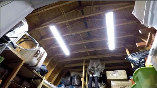 JESLED 4FT LED T8 Type A+B Tube Lights, 24W(65W Equivalent), 3200LM, 6000K, Single or Double End Powered, Plug and Play or Ballast Bypass, 4 Foot T10 T12 Fluorescent Bulbs Replacement, Clear (4-Pack) customer photo 2