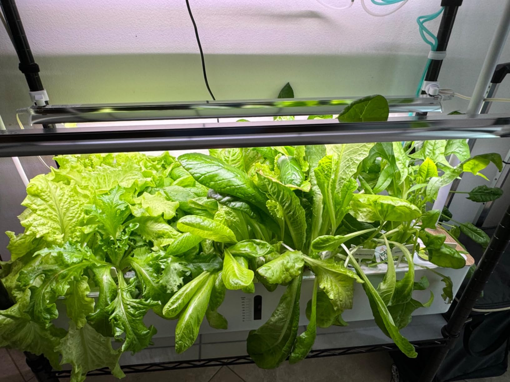 Ahopegarden Indoor Garden Hydroponics Growing System Kit: 60 Pods Indoor Herb Garden with LED Grow Light - Plant Germination Kit, 32L Large Capacity Hydroponic Tower for Vegetables Fruits Flowers customer photo 2