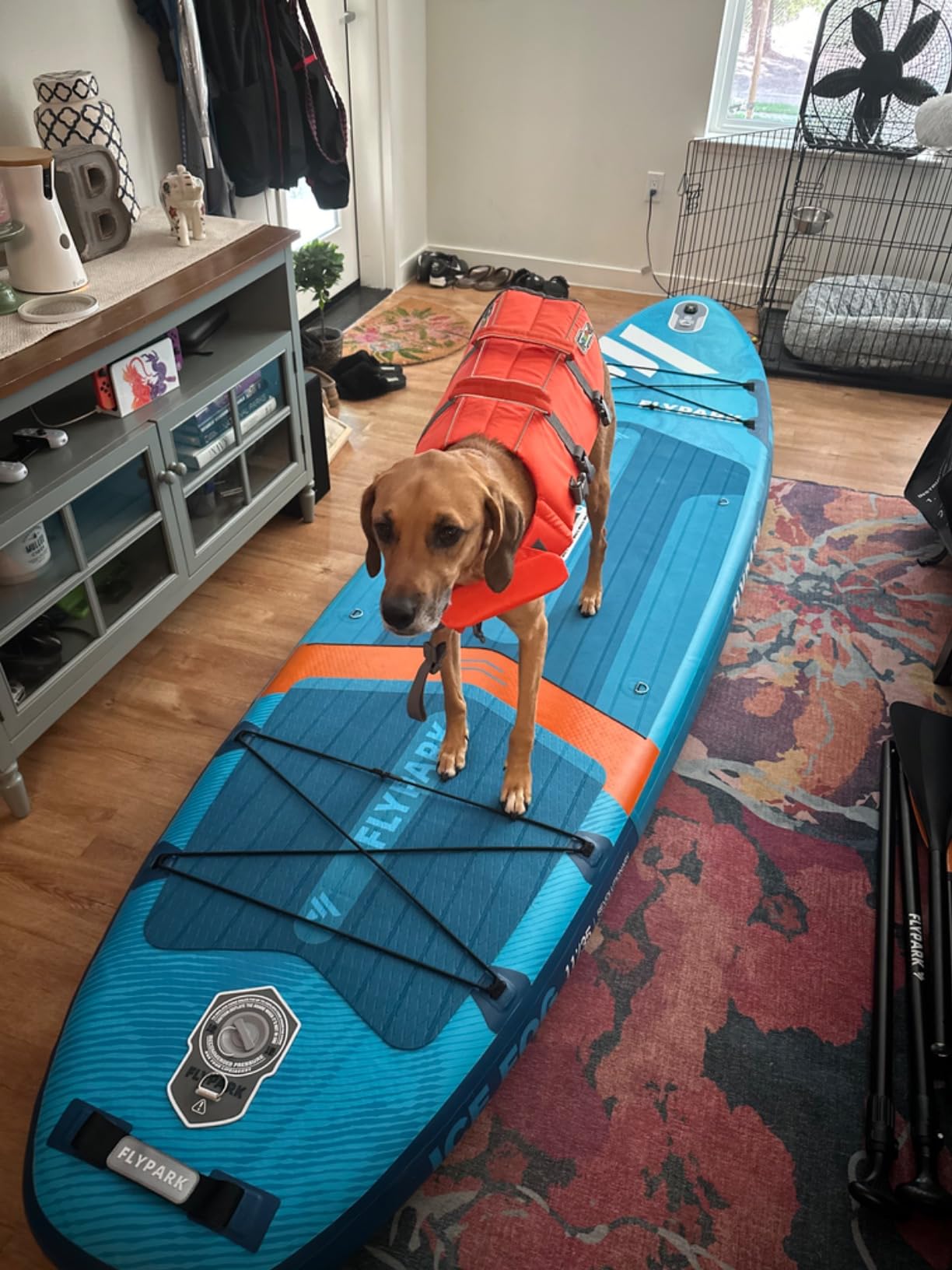 Flypark 10'8/11'x35'' Fishing&Family Stable Inflatable Paddle Boards, Extra Wide SUP Paddleboard Inflatable, 430lb/3 People, Stand Up Paddle Board for Adults, Camera Mount, Shoulder Strap, Rod Holder customer photo 2