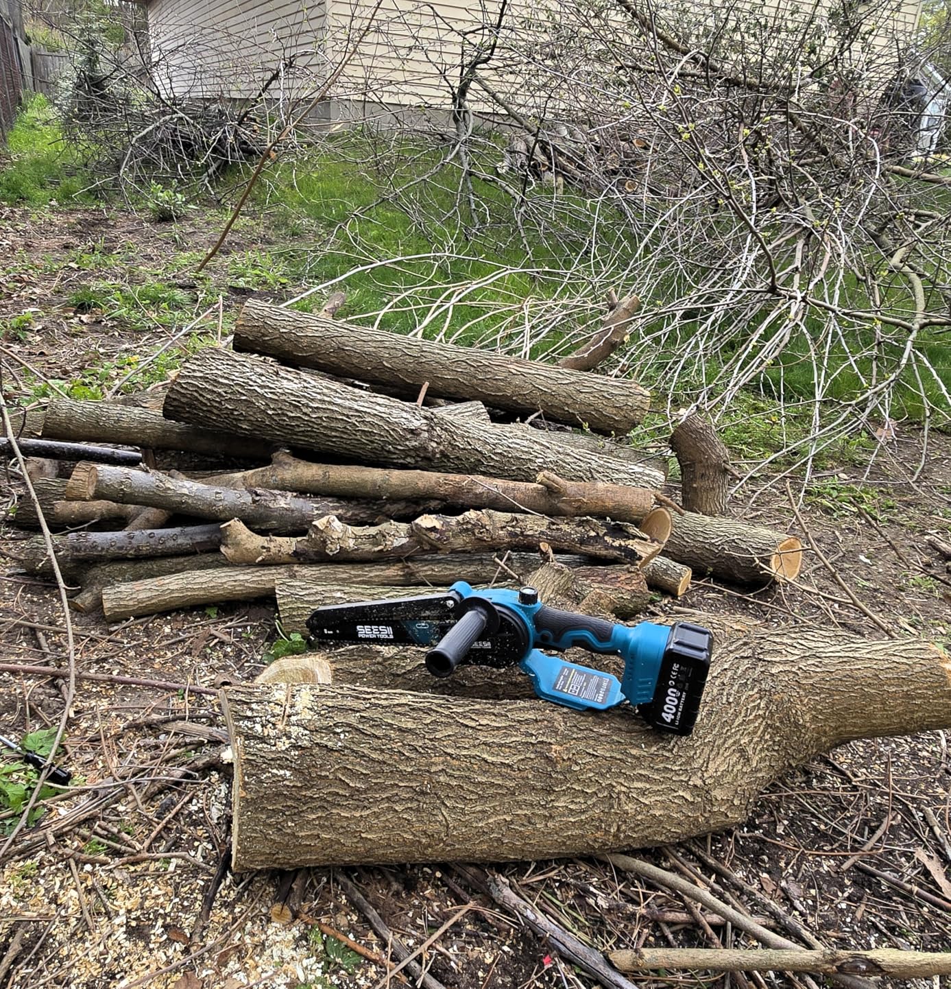 SEESII 2 in 1 Cordless 8 inch Pole Saw & Mini Chainsaw with 2 Battery, Power Electric Polesaw for Tree Trimming, Chain Saw with Extension Pole, Limb Branch Cutter Pruner P8 Ace customer photo 1