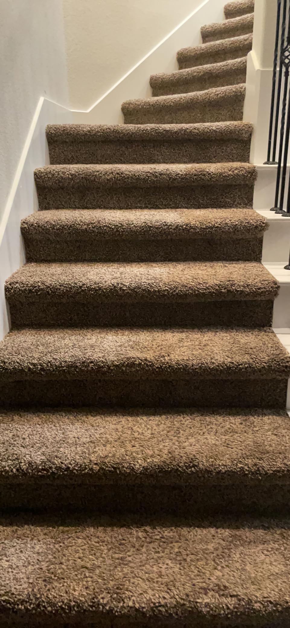 Bissell Pet Hair Eraser Turbo Lift-Off Vacuum, Self-Cleaning Brush Roll, HEPA Filtration, 3774F customer photo 2