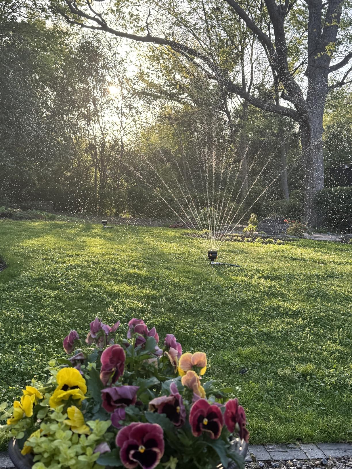 Melnor 65137AMZ MiniMax Turbo Oscillating Sprinkler on Step Spike, 4000 sq. ft., 4-Way Adjustable, Quick Connect Bundle, Yellow customer photo 1