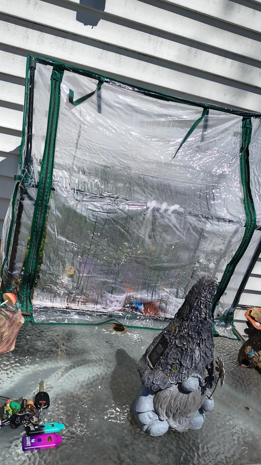 Mini Greenhouse for Indoor Outdoor: Ohuhu Portable Green House with Waterproof Pad for Small Plants Nursery Germination, 36