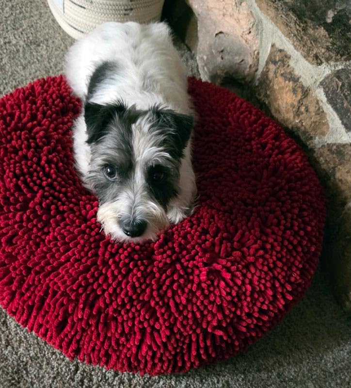 Muddy Mat Cloud K-9 Bed for Dogs & Cats, Soft & Relaxing Round Dog Bed, Chenille Material, Removable Cover, Washable & Dryer Safe - Grey Large (40