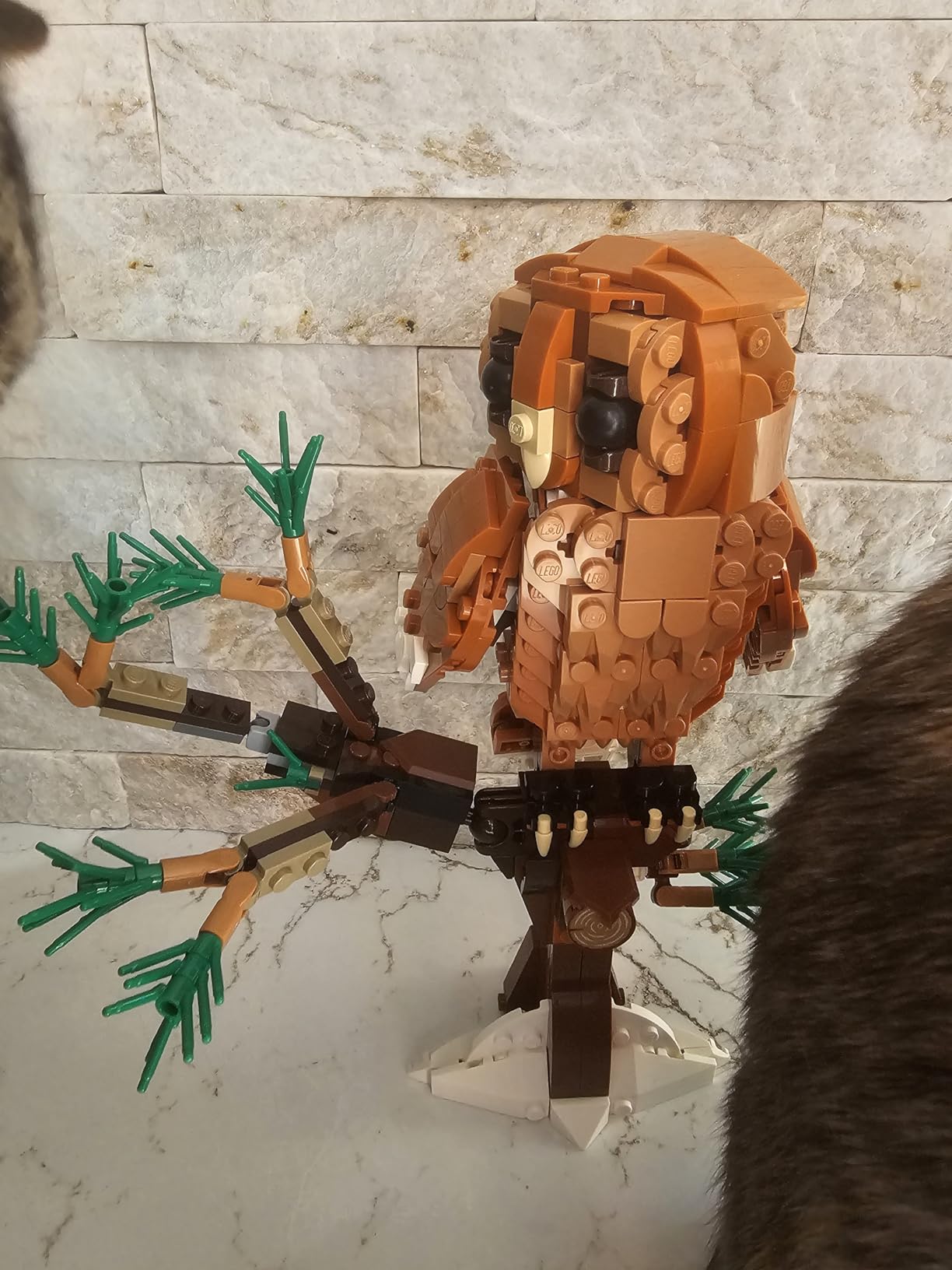 LEGO Creator 3 in 1 Forest Animals Red Fox Toys - Building Toys for Kids, Boys & Girls, Ages 9+ - W/ 3 Building Options into Fox, Owl, or Squirrel - Gift for Birthdays - 31154 customer photo 2