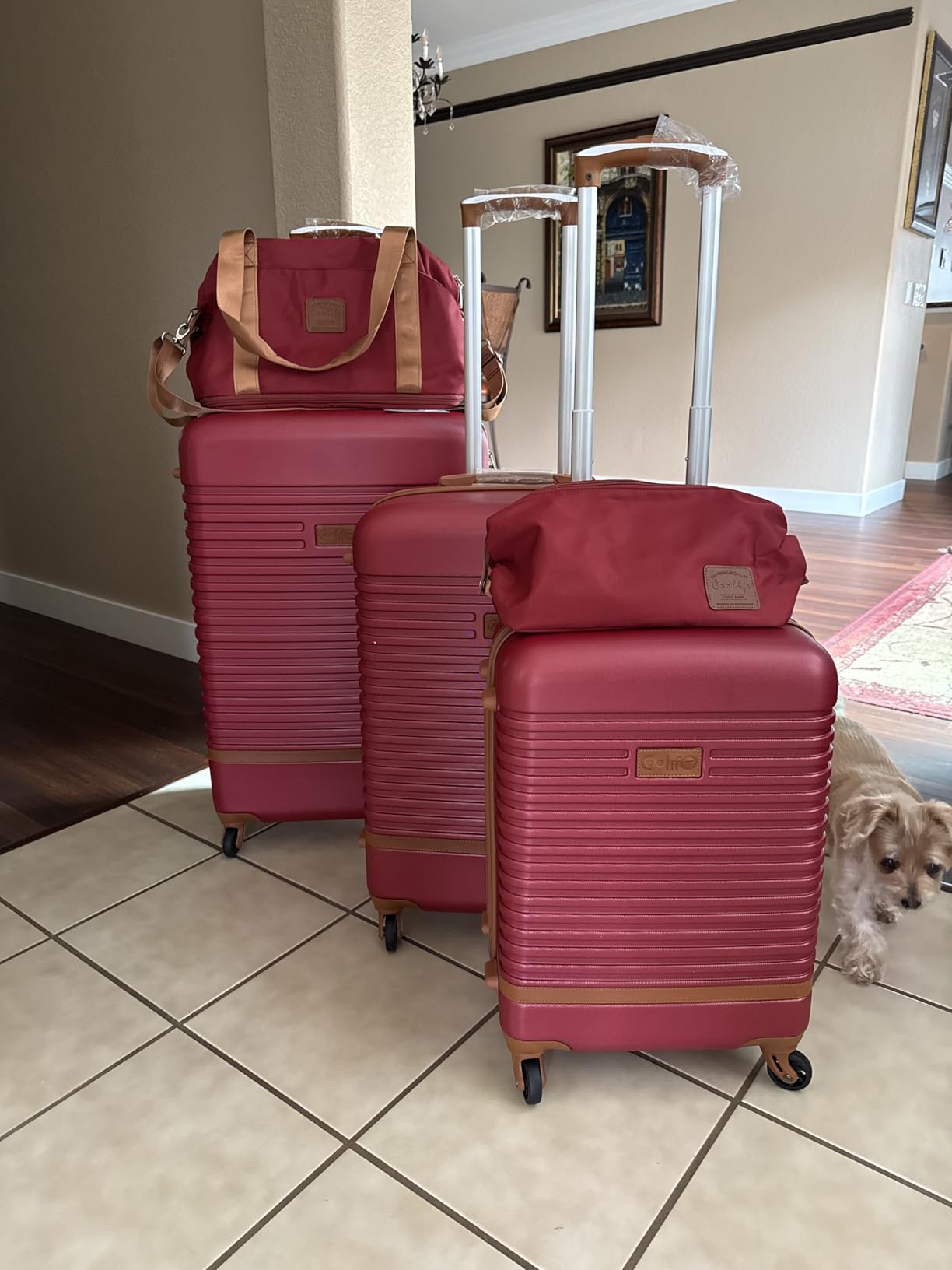 Coolife Suitcase Set 3 Piece Luggage Set Carry On Travel Luggage TSA Lock Spinner Wheels Hardshell Lightweight Luggage Set(Gray+Pink, 5 piece set) customer photo 1