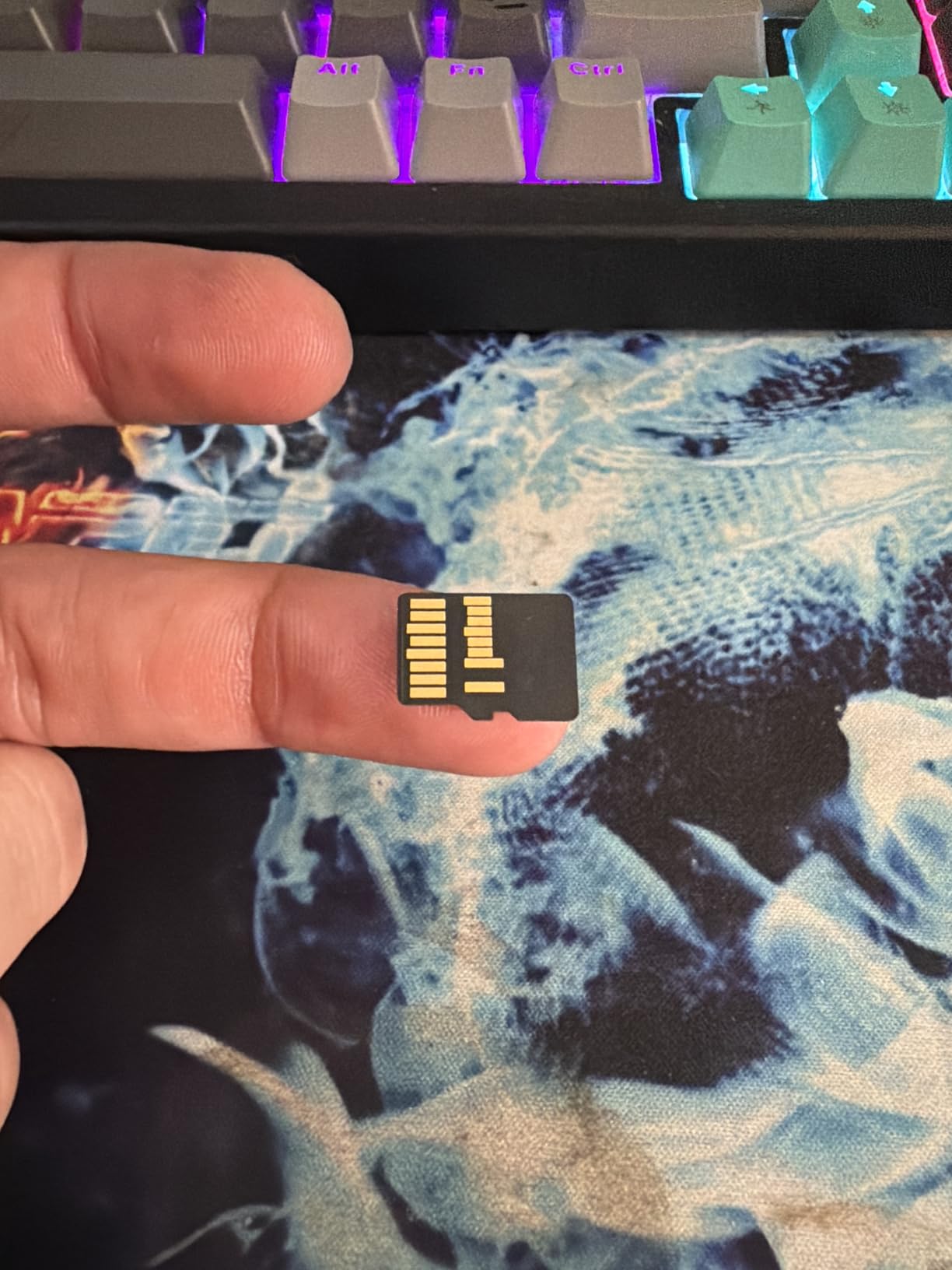 Lexar 256GB Professional Gold Micro SD Card, UHS-II, C10, U3, V60, A1, Up to 280/180 MB/s microSDXC Memory Card for Drones, Action Cameras, Portable Gaming Devices (LMSGOLD256G-BNNNG) customer photo 2