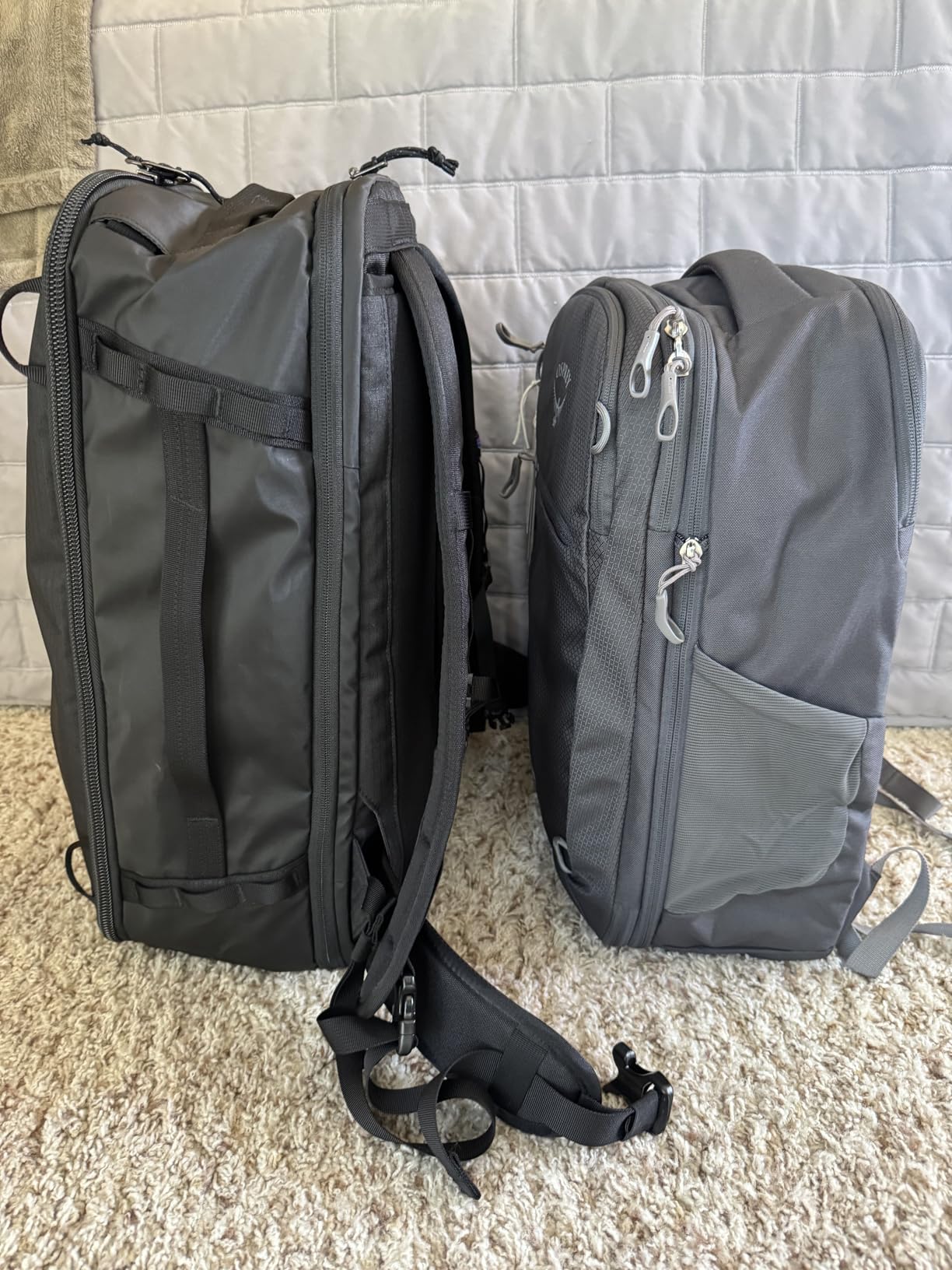 Daylite Expandable 26+6 Travel Pack, Black customer photo 2