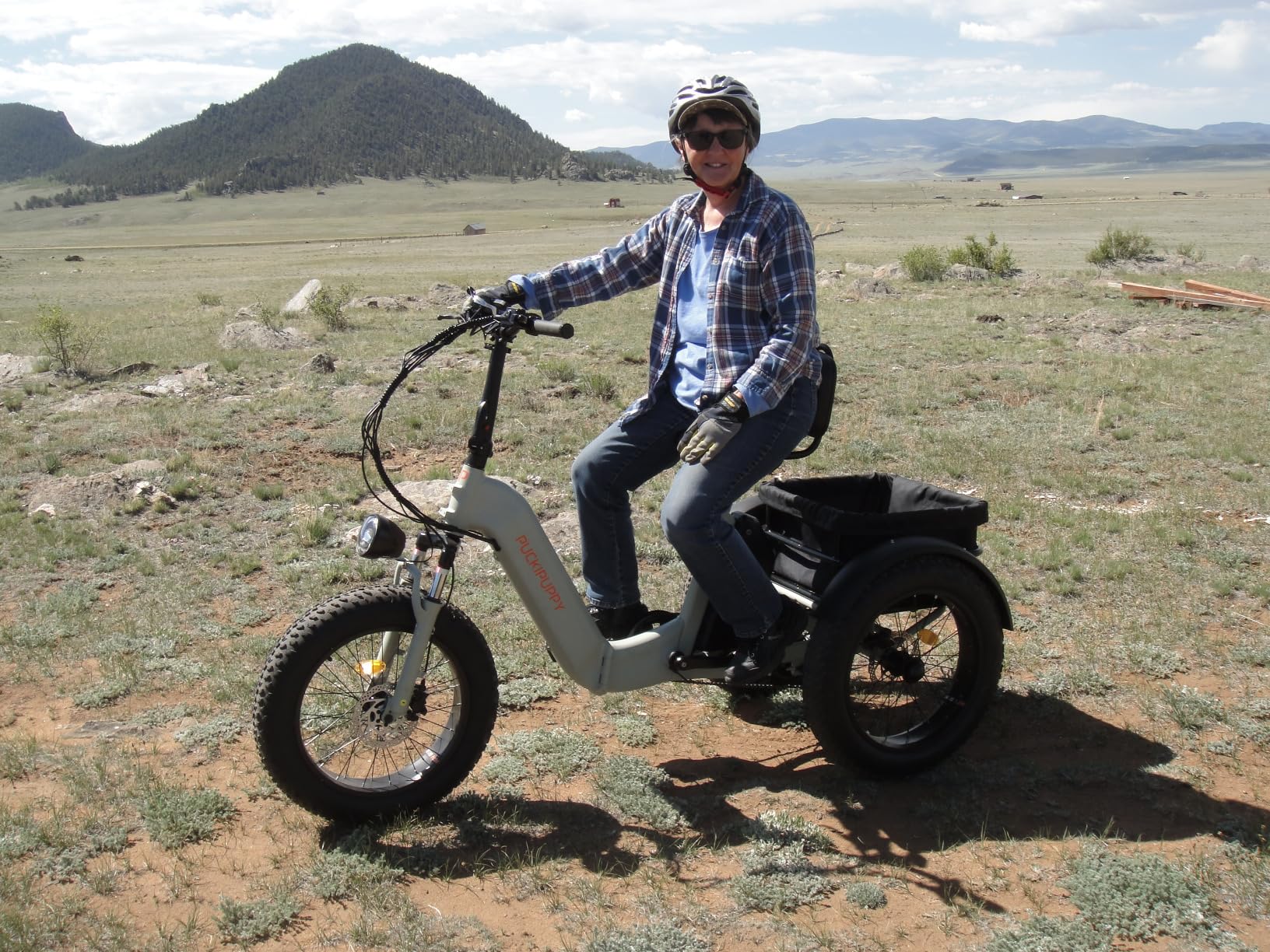 Electric Trike for Adult with 960W Peak Motor, 48V 17.4AH Cells Battery, Pickup Class 500 LB Load Electric Tricycle with 20