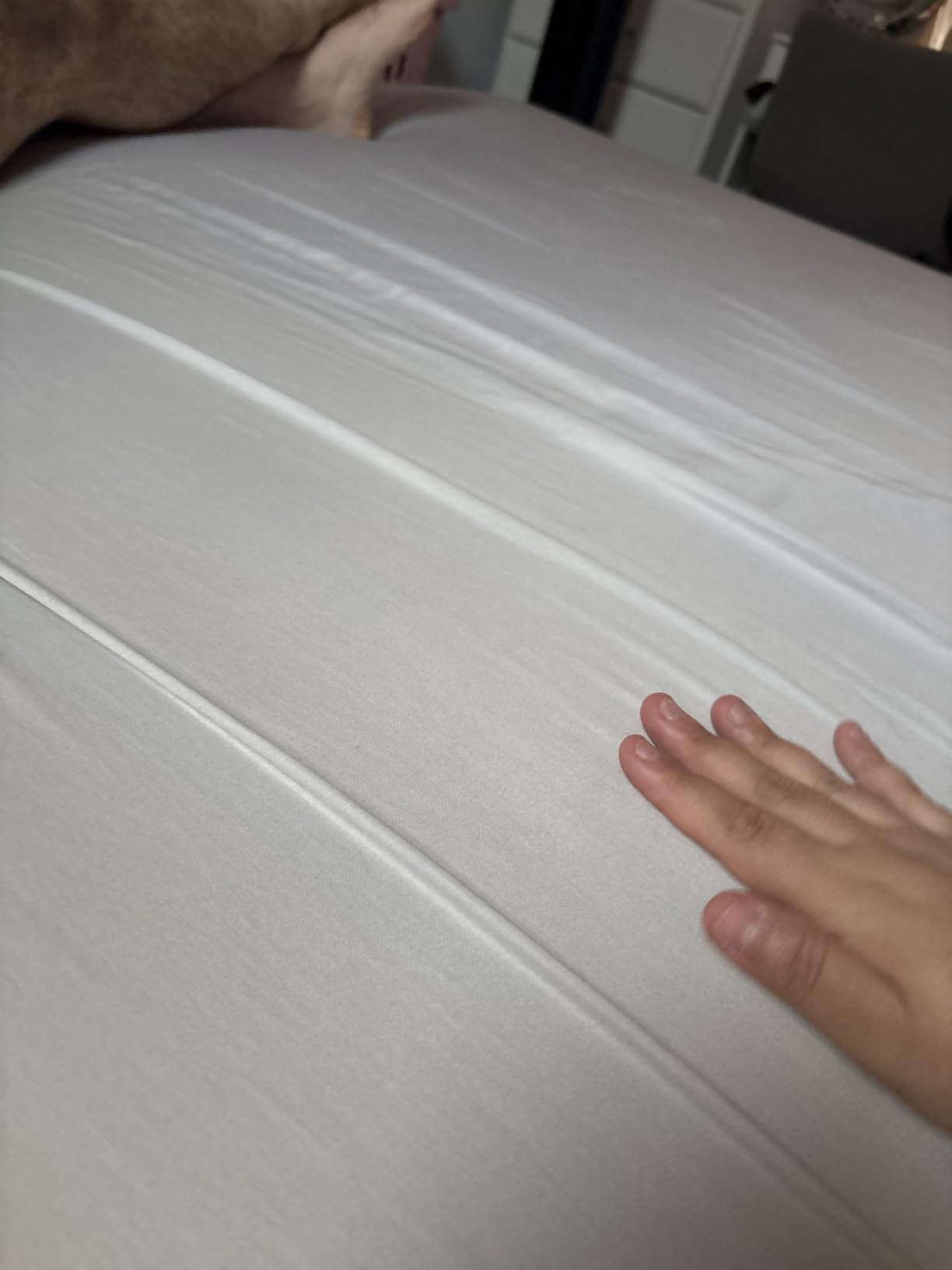 California Design Den 100% Cotton Pack of 2 Sateen Sheets for Queen Size Bed Set - Soft & Durable Sateen, Queen Sheet Set with Deep Pockets (White) customer photo 1