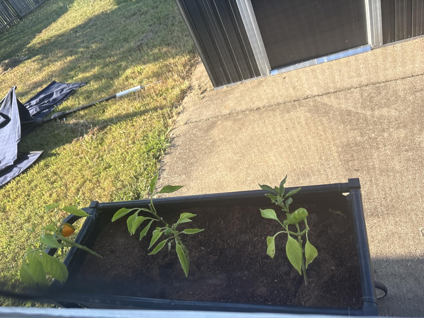 SoliWood Raised Garden Bed with Legs, 48x24x30'', Outdoor Wood Elevated Planter Box, Grey Cedar, Thick Legs, w/Liner customer photo 1