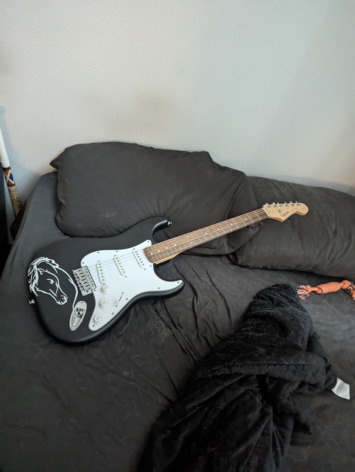 Squier Debut Series Stratocaster Electric Guitar, Beginner Guitar, with 2-Year Warranty, Includes Free Lessons, Black with Matte Finish customer photo 2