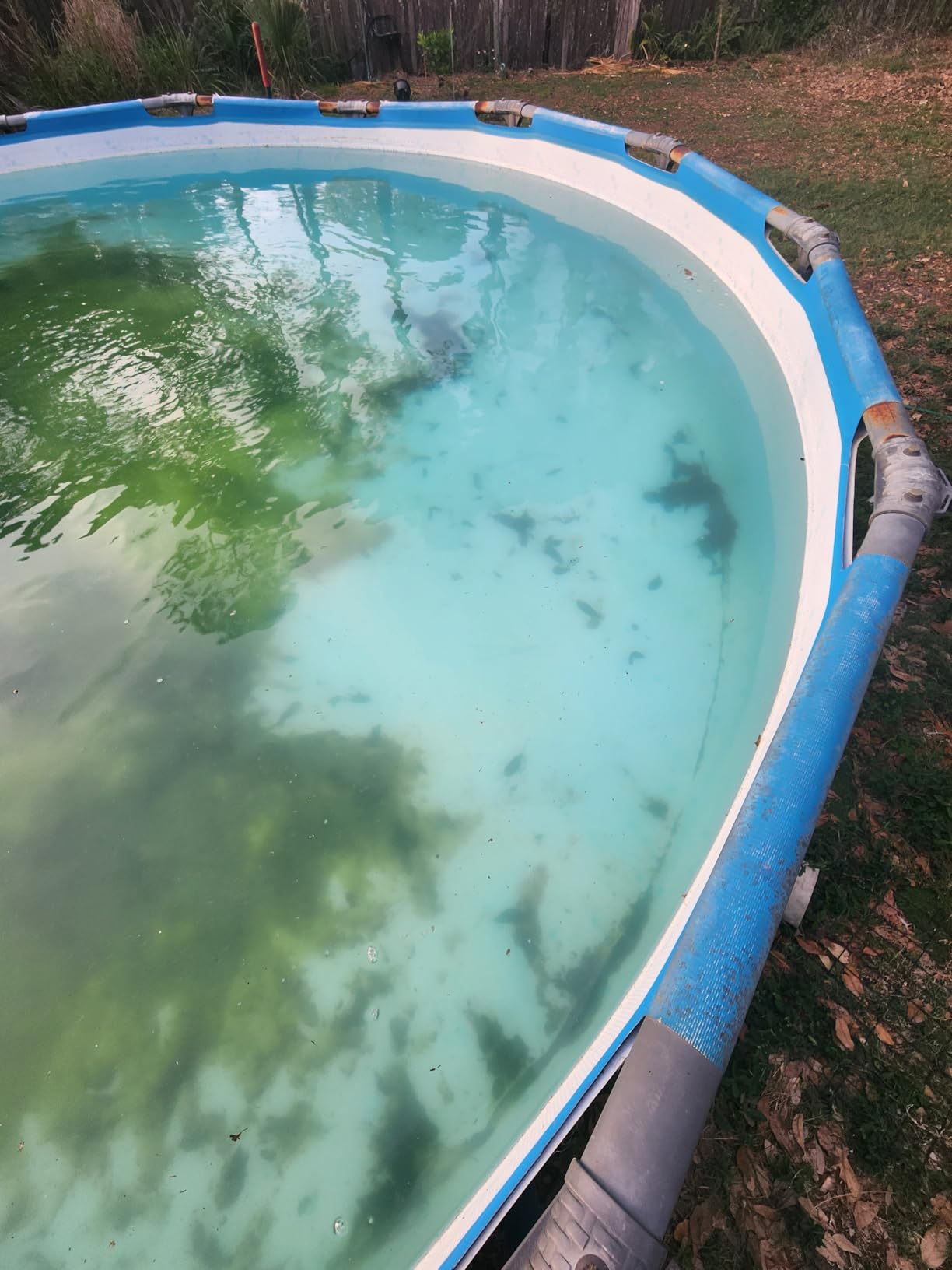 Enhulk Rechargeable Handheld Cordless Pool Vacuum for Above Ground Pool and Inground Pool, 60-Minute Runtime, Powerful Suction up to 18.5 gallons/min, PC10 Pro customer photo 1