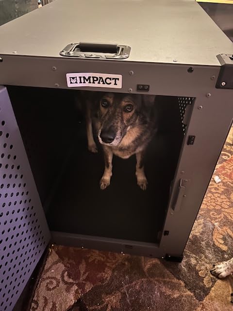 Impact Indestructible High Anxiety Dog Crate for Medium Dogs - Heavy Duty Escape Proof Indoor Dog Kennel with Powder-Coated Aluminum - Ideal for Escape Artists (Black, 30