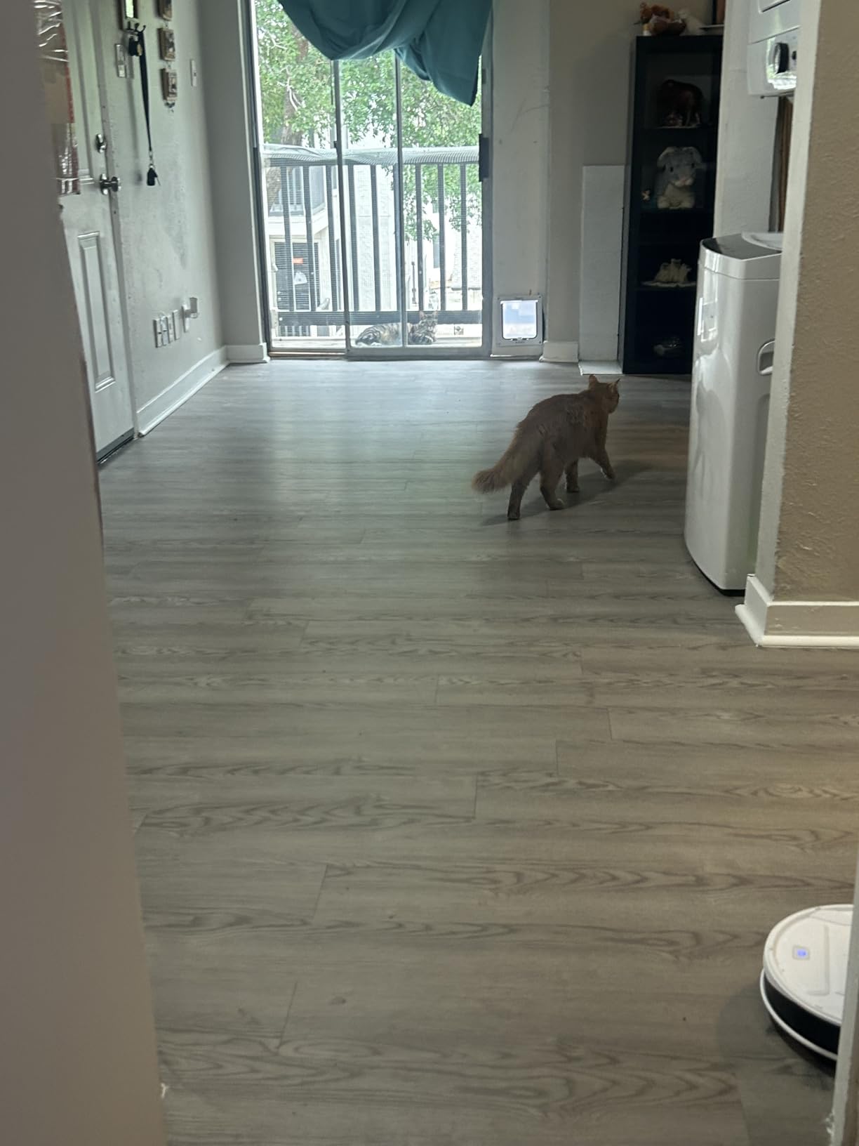 Lefant M210 Pro Robot Vacuum with 2200 Pa Powerful Suction, 6 Cleaning Modes, 120 Mins Runtime, Quiet, Self-Charging, Voice Control, Ideal for Pet Hair and Hard Floor, White customer photo 1