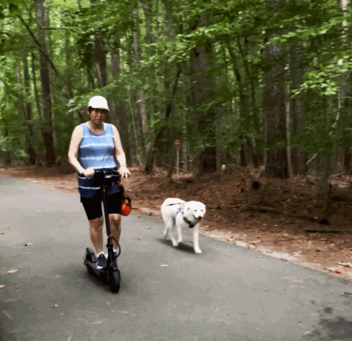 iScooter Electric Scooter Adults & Big Kids, 18/15/12 Miles Long Range,22/19/18 Mph Top Speed, Commuting Electric Scooter with Cruise Control, Double Braking Systems Escooter for Adults and Teens customer photo 2