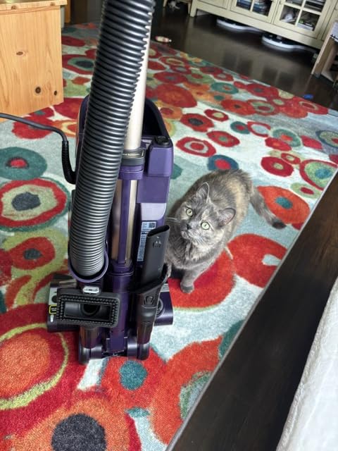 Shark POWERDETECT Upright Vacuum Cleaner with HEPA Filter, DuoClean Technology, AZ4002 customer photo 2