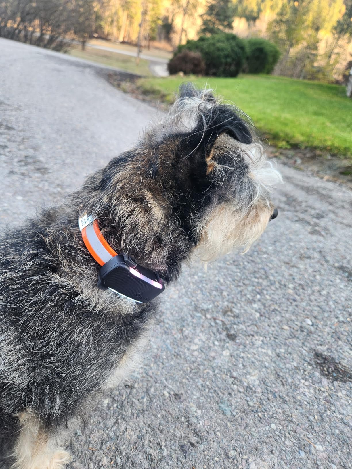 Tractive Smart Dog GPS Tracker | Live Pet Tracker with Virtual Fence | Vital Signs Monitoring of Heart & Respiratory Rate | Bark Monitoring | Dog Collar Attachment (Brown) customer photo 1