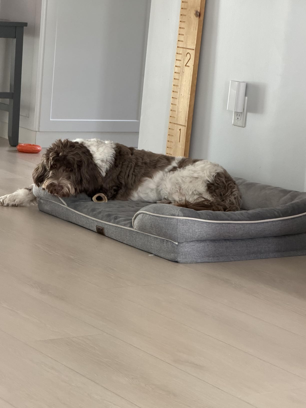 EHEYCIGA Orthopedic Dog Bed for Small Dogs, Waterproof Memory Foam Small Pet Beds with Sides, Non-Slip Bottom and Egg-Crate Foam Medium Dog Couch Bed with Washable Removable Cover, Grey customer photo 1
