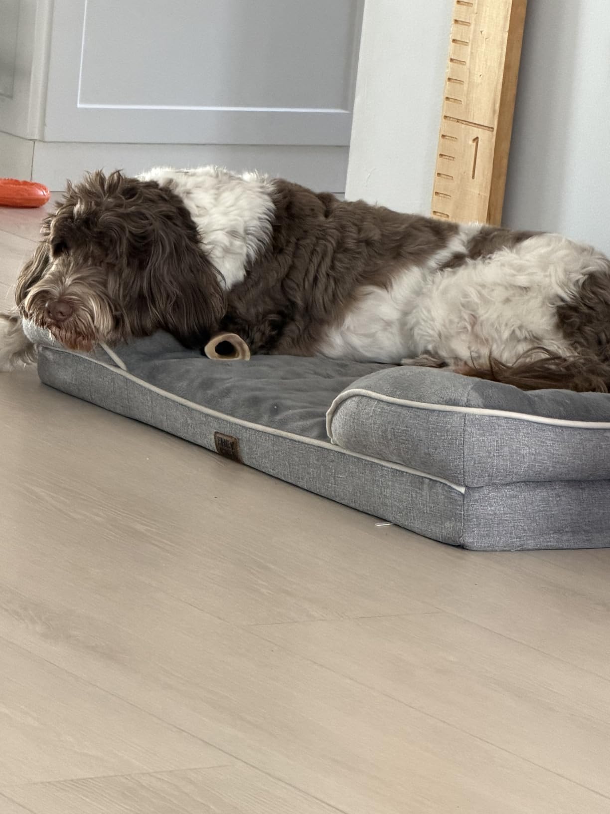 EHEYCIGA Orthopedic Dog Bed for Small Dogs, Waterproof Memory Foam Small Pet Beds with Sides, Non-Slip Bottom and Egg-Crate Foam Medium Dog Couch Bed with Washable Removable Cover, Grey customer photo 2