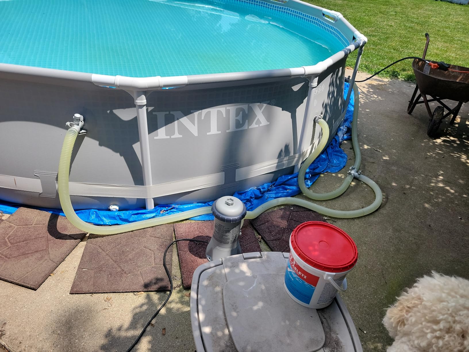 INTEX C530 Cartridge Filter Pump for Above Ground Pools: 530 GPH Pump Flow Rate - Auto Timer - HydroAeration Technology - Includes Type A Filter Cartridge - Turnover Rate/System Flow 475 GPH customer photo 2
