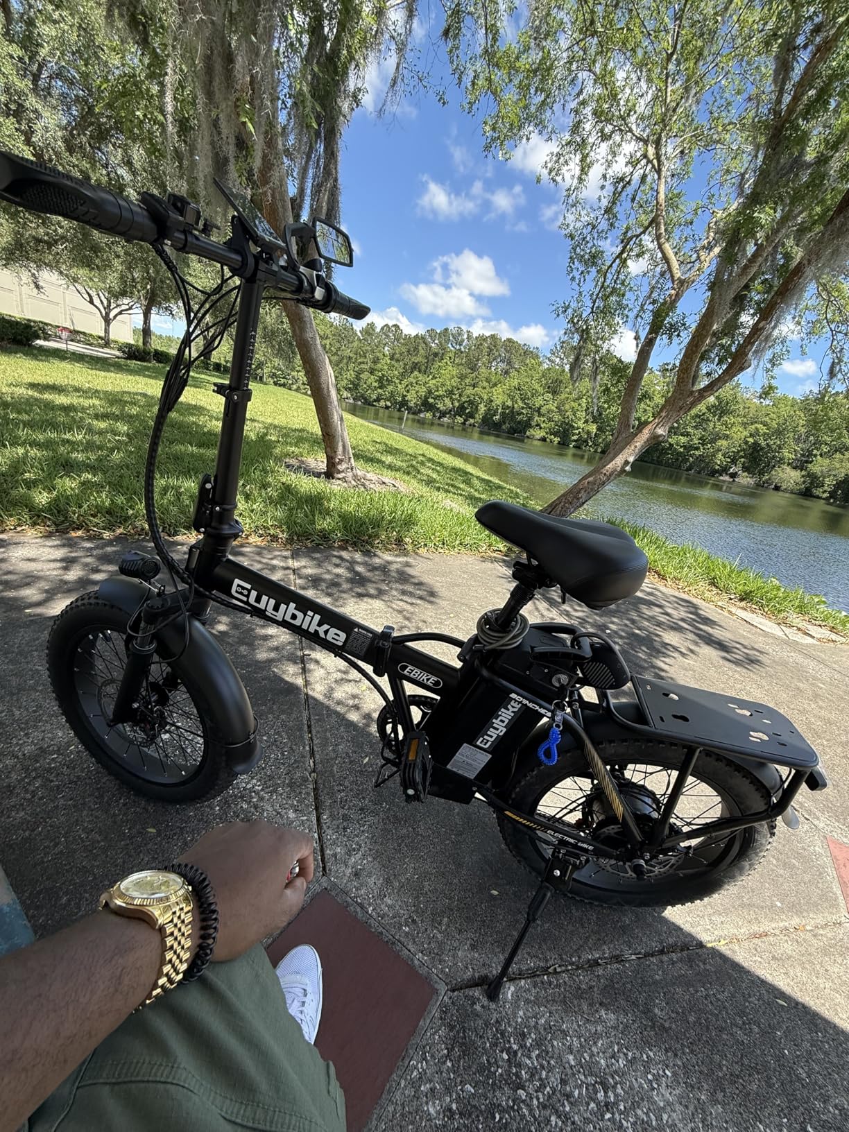 Foldable Electric Bike for Adults, 48V 20Ah Removable Lithium Battery up to 80Miles, 20