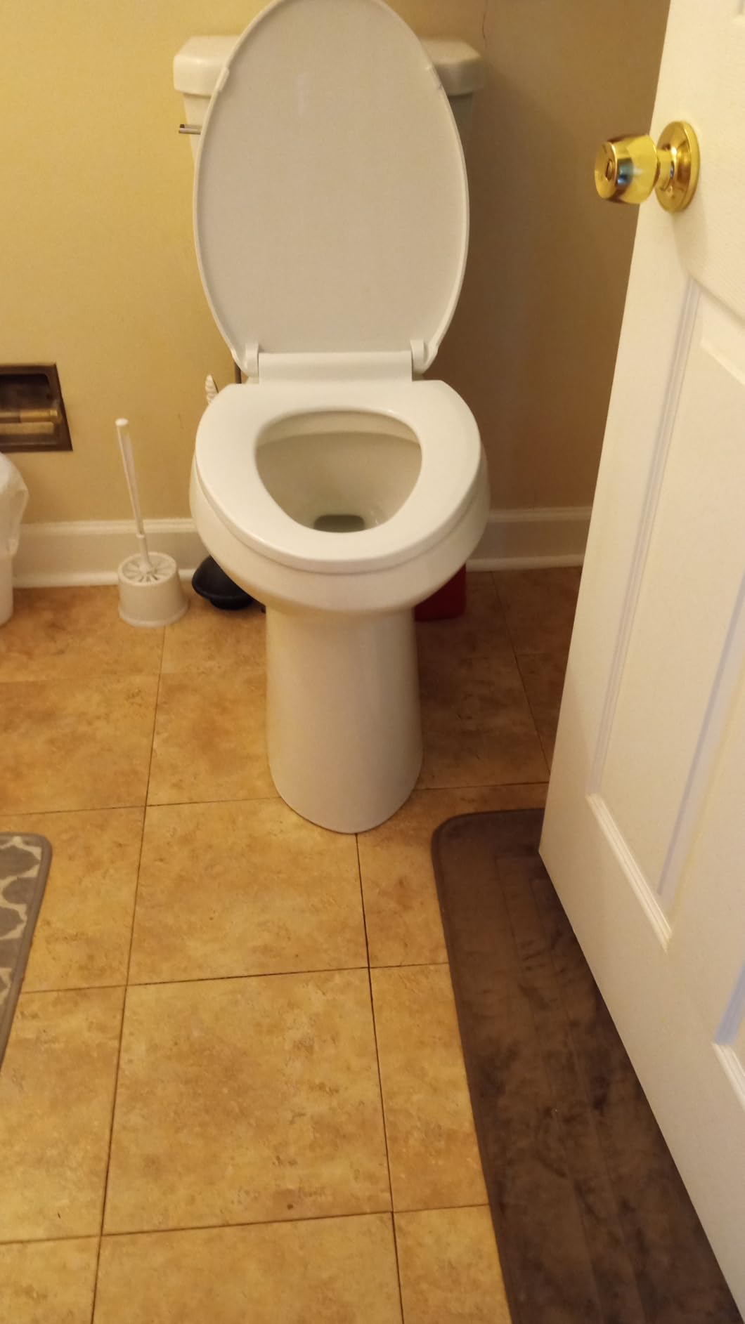Simple Project 21 Inch Tall Toilet Elongated with Comfort Chair Seat, 1.28 Gpf Powerful Dual Flush Extra Tall Toilets, 12 Inch Rough In Bathrooms, Comfort Height Toilet for Seniors & Tall Person customer photo 1