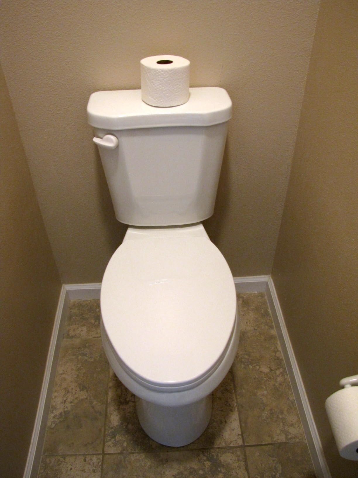 Simple Project 21 Inch Tall Toilet Elongated with Comfort Chair Seat, 1.28 Gpf Powerful Dual Flush Extra Tall Toilets, 12 Inch Rough In Bathrooms, Comfort Height Toilet for Seniors & Tall Person customer photo 2