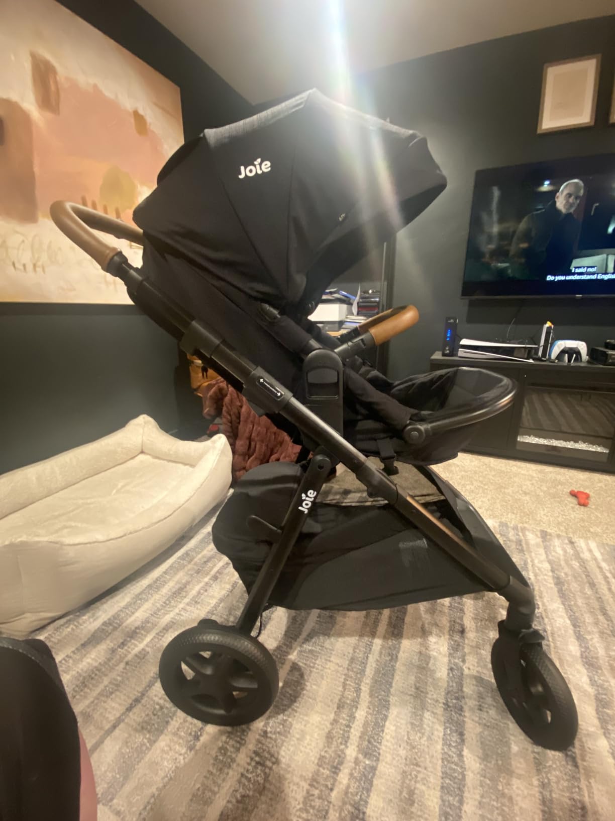 Joie Ginger 4-in-1 Stroller & Mint Latch Car Seat Travel System customer photo 1