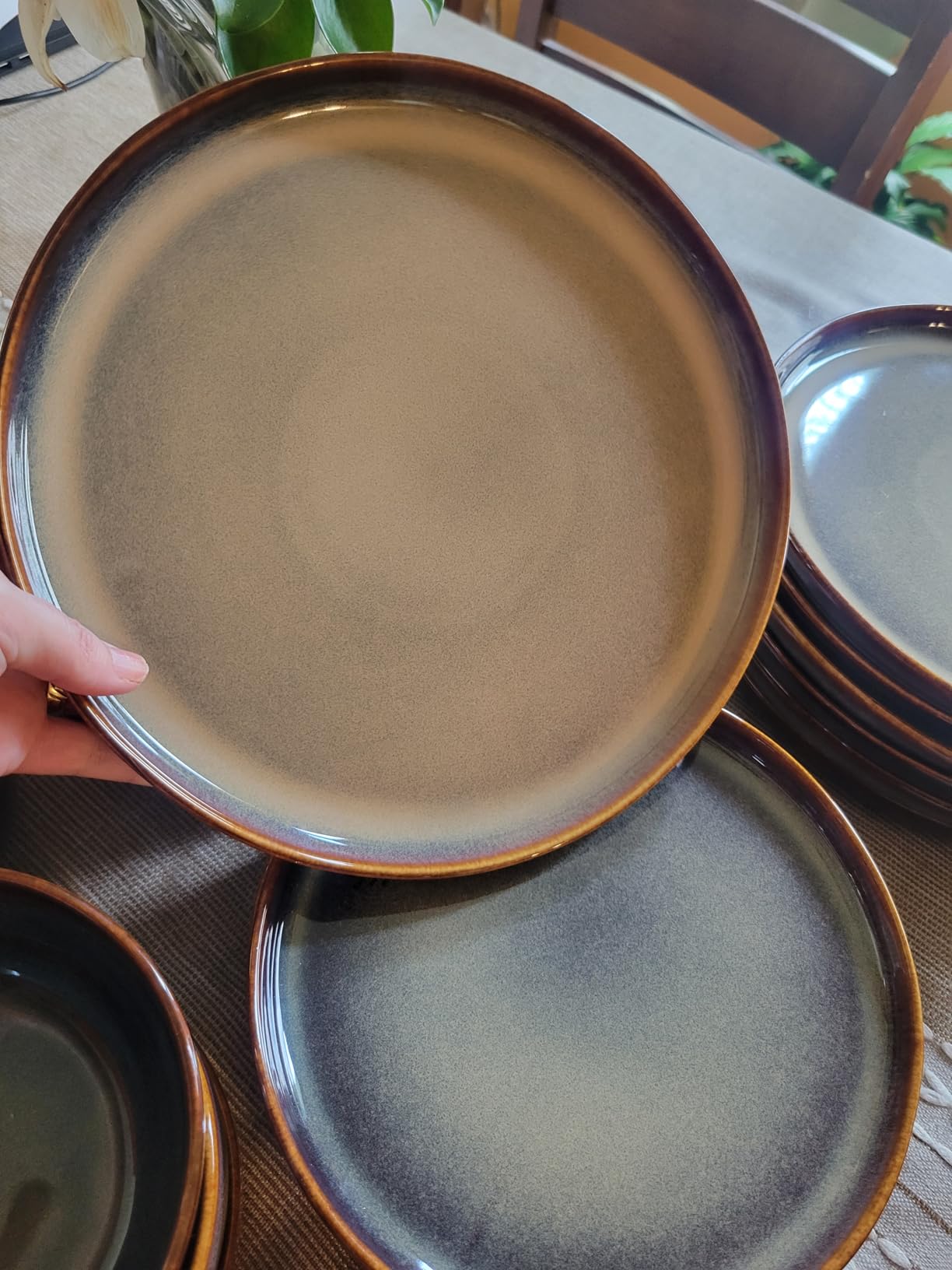 TheTerra Ceramic Dinnerware Sets for 4, 12 Pieces Handmade Reactive Glaze Plates and Bowls Set, Scratch Resistant Dish Set, Oven & Microwave & Dishwasher Safe customer photo 2