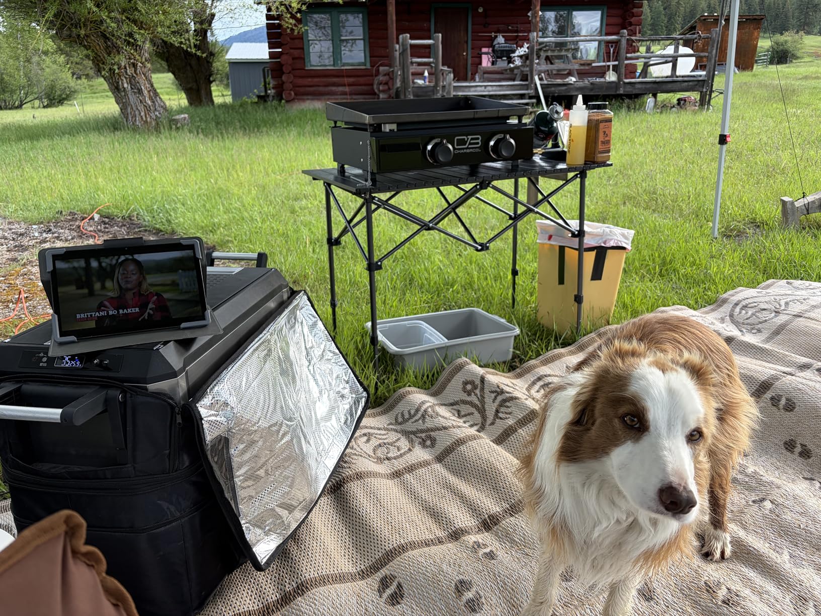 Byliable Camping Table Folding Portable Camp Aluminum Fold Up Lightweight Roll Up Table Adjustable Height with Carry Bag Indoor Outdoor for Camping, Picnic, Backyard, BBQ, Patio customer photo 1