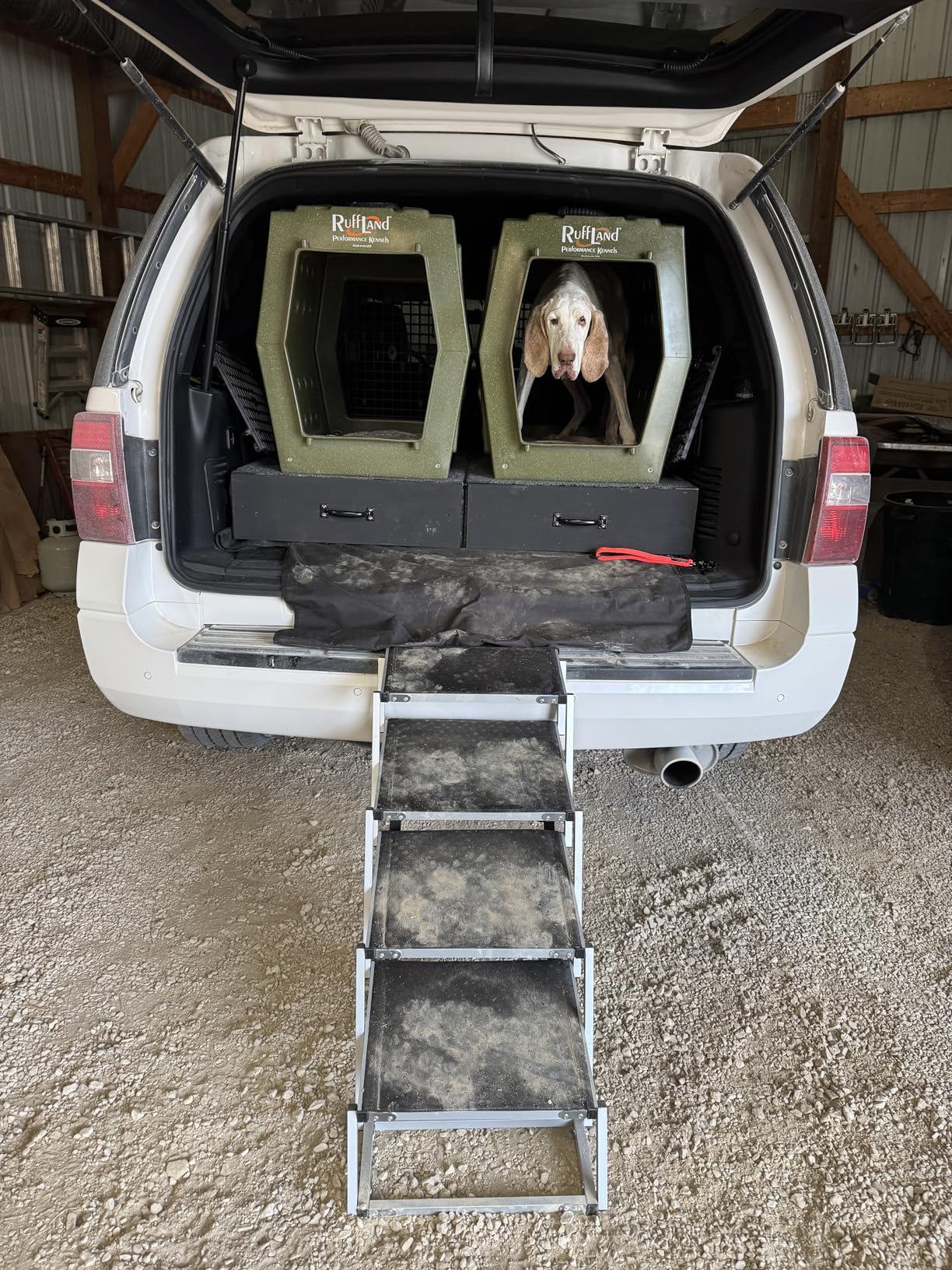 DGSL Dog Ramp for Car, 4-Step Folding Dog Stairs, Aluminum, Black, Supports Up to 250 Lbs customer photo 2