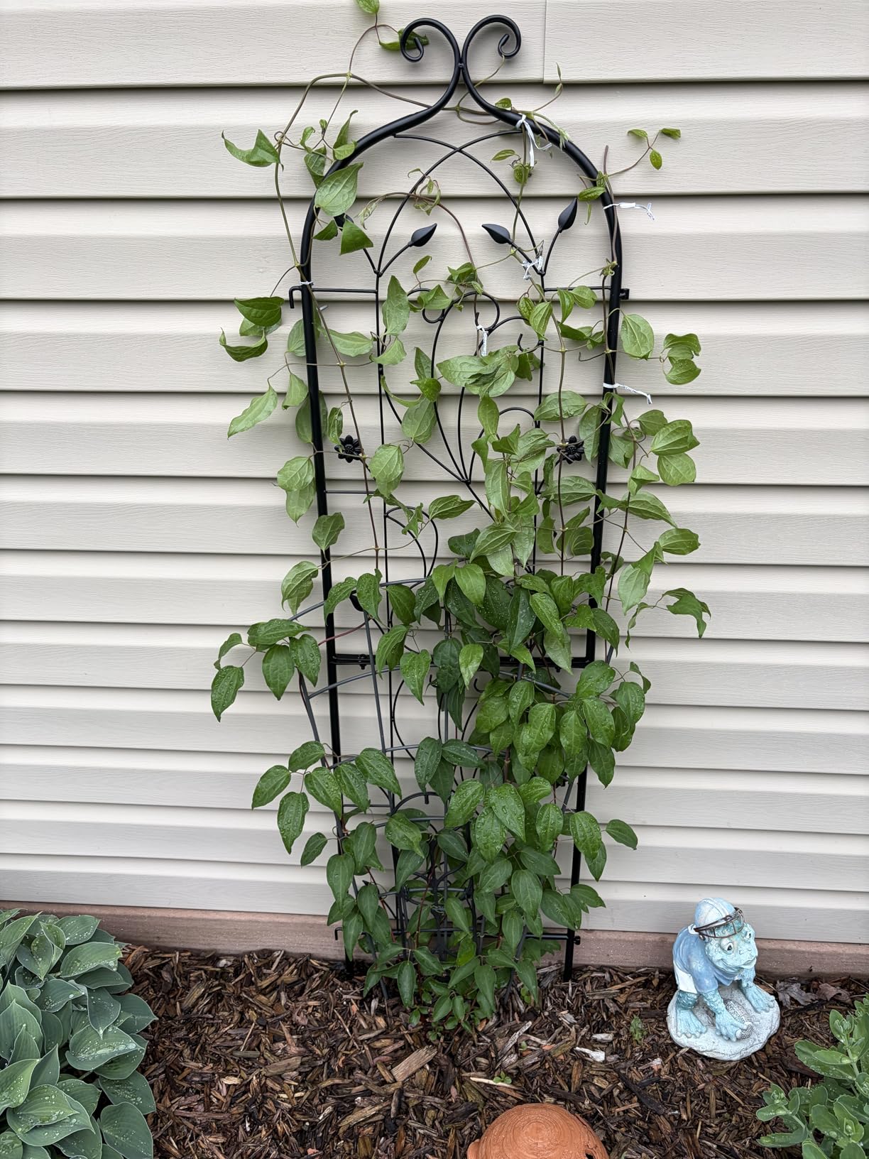 VEVOR Garden Trellis for Climbing Plants, 87 x 20 in, 4 Packs Rustproof Metal Garden Flower Rose Trellis, Outdoor Climbing Clematis Trellis Cucumbers Support for Courtyards Lawns customer photo 1