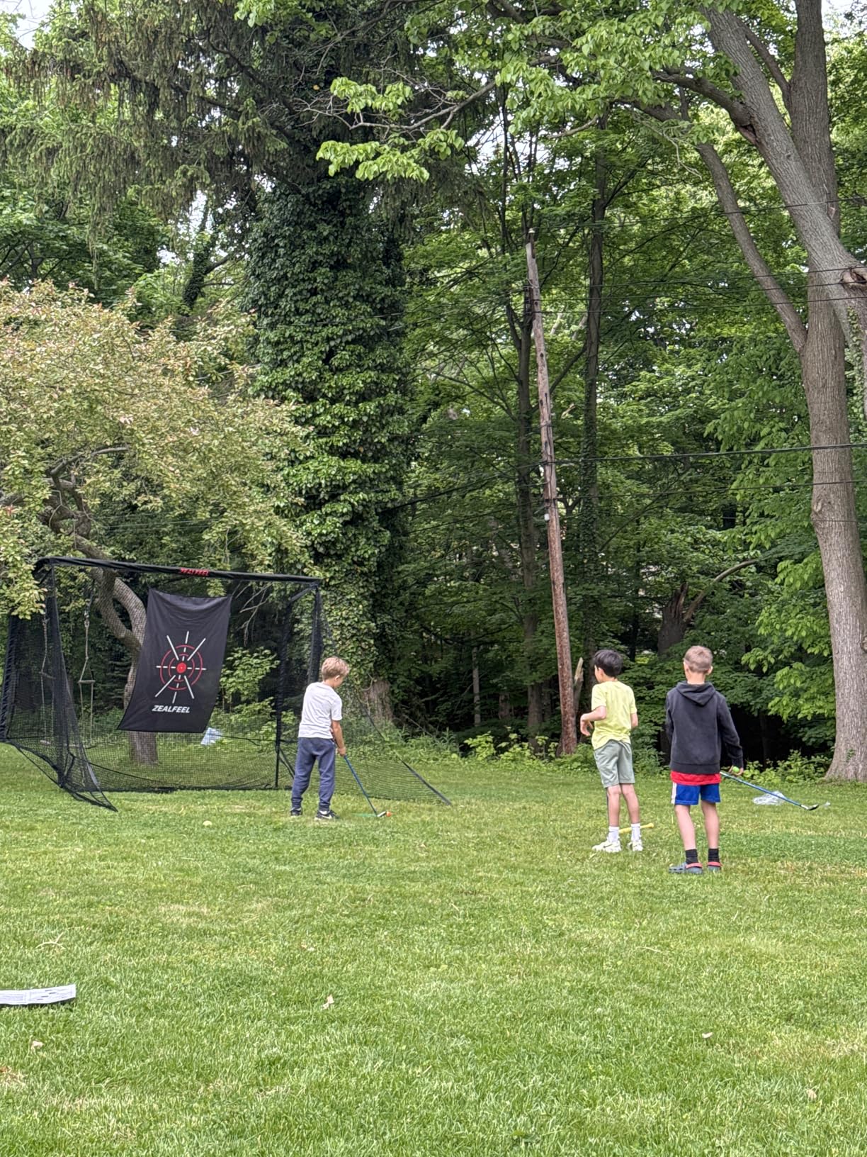 Zealfeel Golf Net, Golf Simulator Enclosure Net with Side Barriers & Auto-Ball Return, Low-Noise Silk Target, Carry Bag, 2 Sand Bags, 4 Stakes, Hitting Net for Backyard customer photo 2
