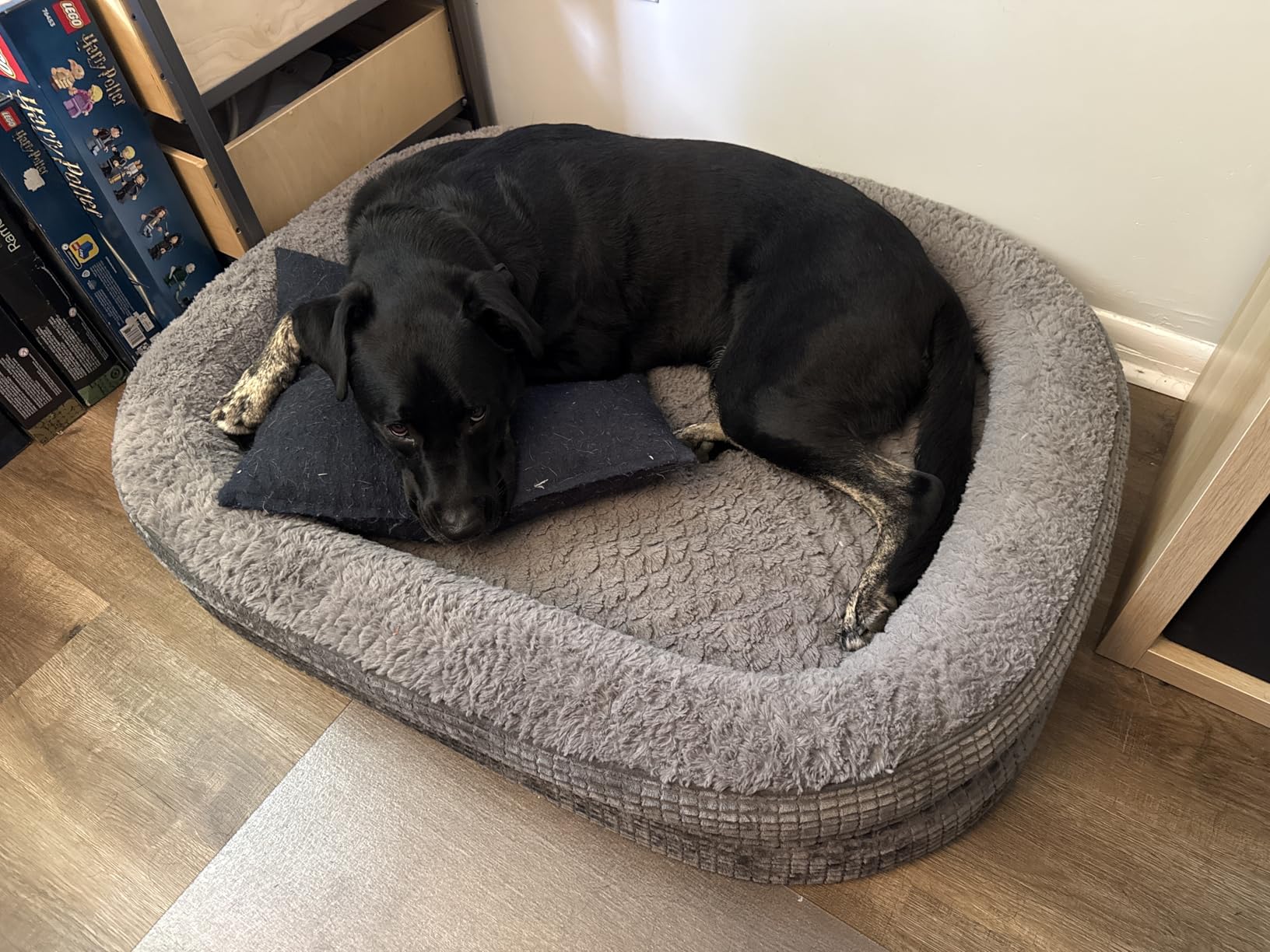 JOEJOY Orthopedic Dog Beds Large Sized Dog, XL Egg-Crate Memory Foam Pet Couch Bed with Bolster Sides, Waterproof Lining, Removable Washable Cover & Non-Slip Bottom, Grey customer photo 1