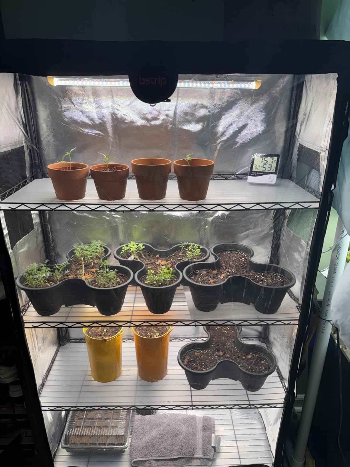 Bstrip Indoor Greenhouse with Grow Light, Plant Stand with 4 Pack 24W Full Spectrum Plant Lights, Plant Shelf with Tent for Indoor Plant, Seed Starting, Seed Tray, 29.5