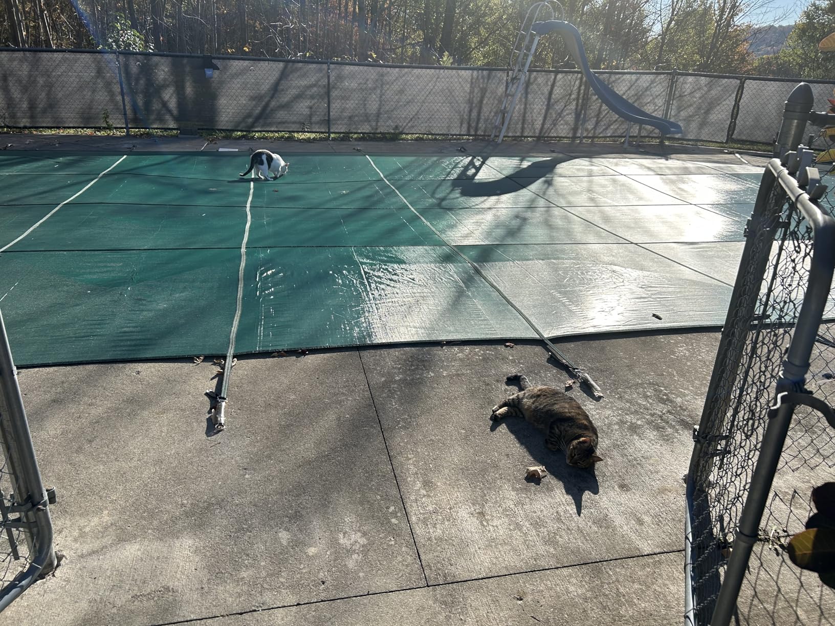 Pool Safety Cover for Inground Pools, Heavy-Duty Winter Pool Cover, Rectangle Mesh/Solid Swimming Pool Covers, Triple Stitched for High Strength & UV Protection, Green customer photo 1