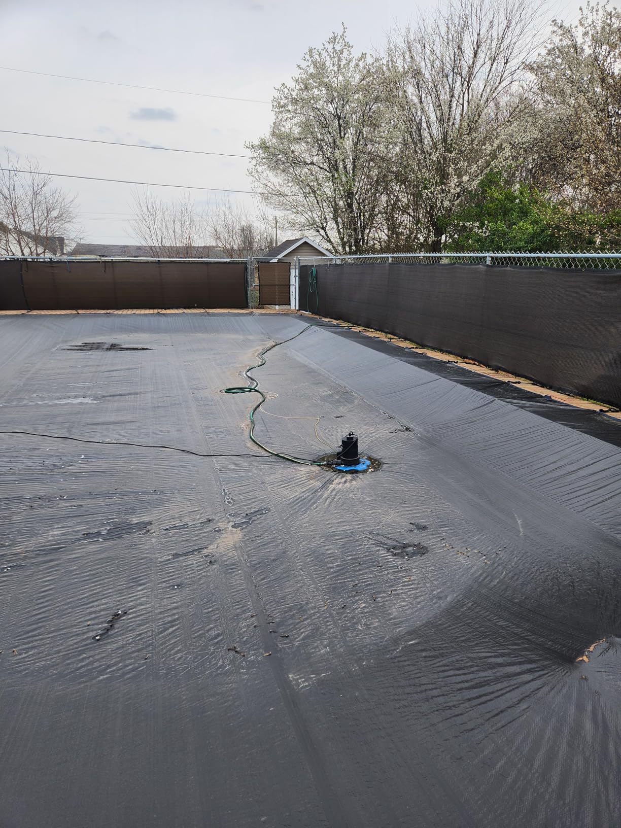 SEESII 1/3HP Pool Cover Pump - Automatic On/Off, 3035GPH Submersible Water Pump with Filter Net, 25ft Power Cord, Check Valve customer photo 1