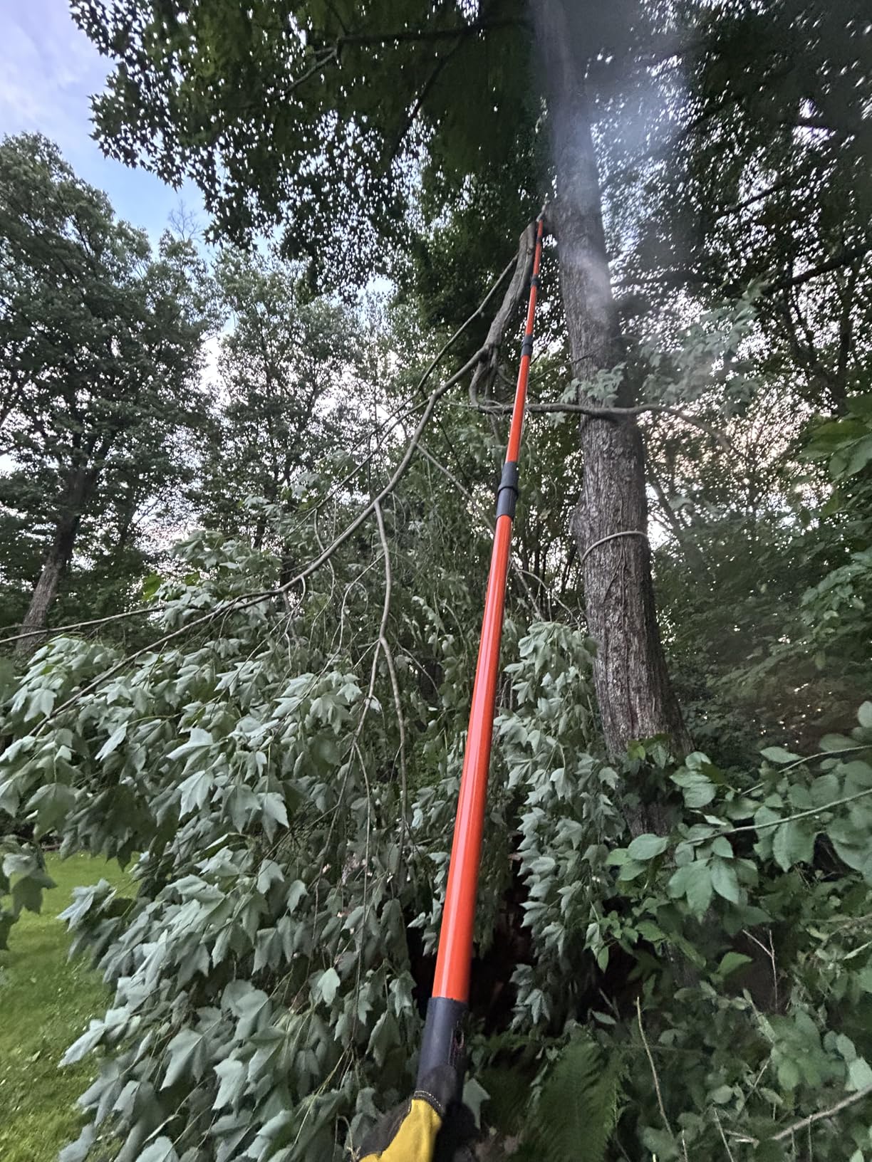 VEVOR Manual Pole Saw, 3.87-27 ft Extendable Pole Tree Pruner with Scissors, Sharp 65Mn Steel Blade, Lightweight Fiberglass Handle Pole, for High Branch Trimming customer photo 2