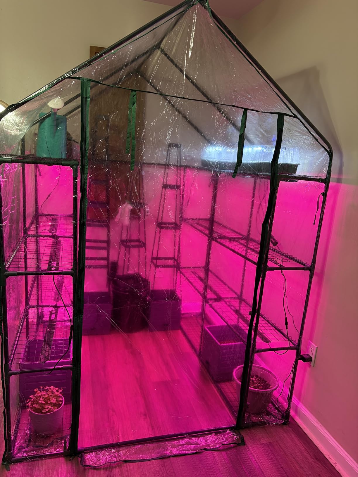 Bstrip Indoor Greenhouse with Grow Light, 4-Tier Mini Green House, 4Pcs Grow Lights for Indoor Plants with Timer, Zippered PVC Grow Tent with Airflow Windows, Indoor Greenhouse Cabinet 35x19.3x63in customer photo 2