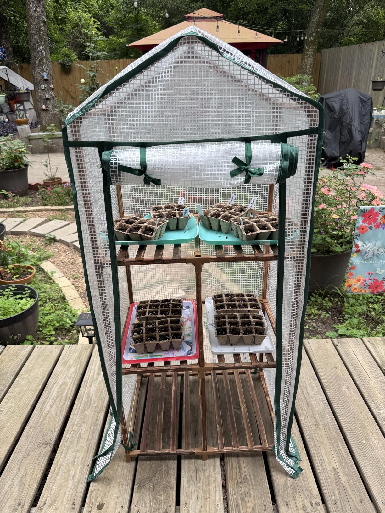 Bamworld Greenhouse for Outdoors Mini Greenhouse Indoor 3-Tier Plant Stand Portable Green Houses with PE Cover Durabled 23 x 17 x 54-Inch Wood Frame Invernaderos para Plantas customer photo 2