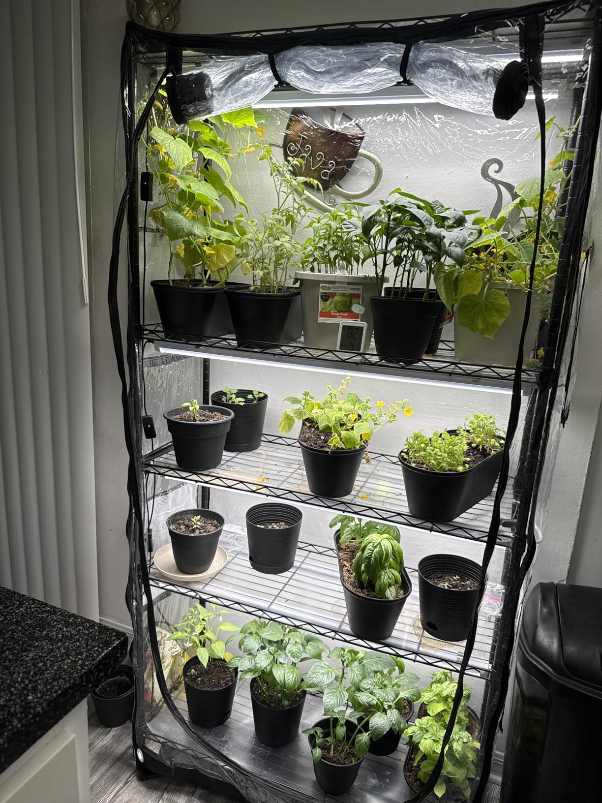 JESLED Indoor Greenhouse with Grow Light, 3FT Full Spectrum 5000K LED Light for Seed Starting, Tiered Lighting Control, Built-in Timer & Thermo-Hygrometer, Rolling Metal Plant Stand (35.4x13.8x70 in) customer photo 1