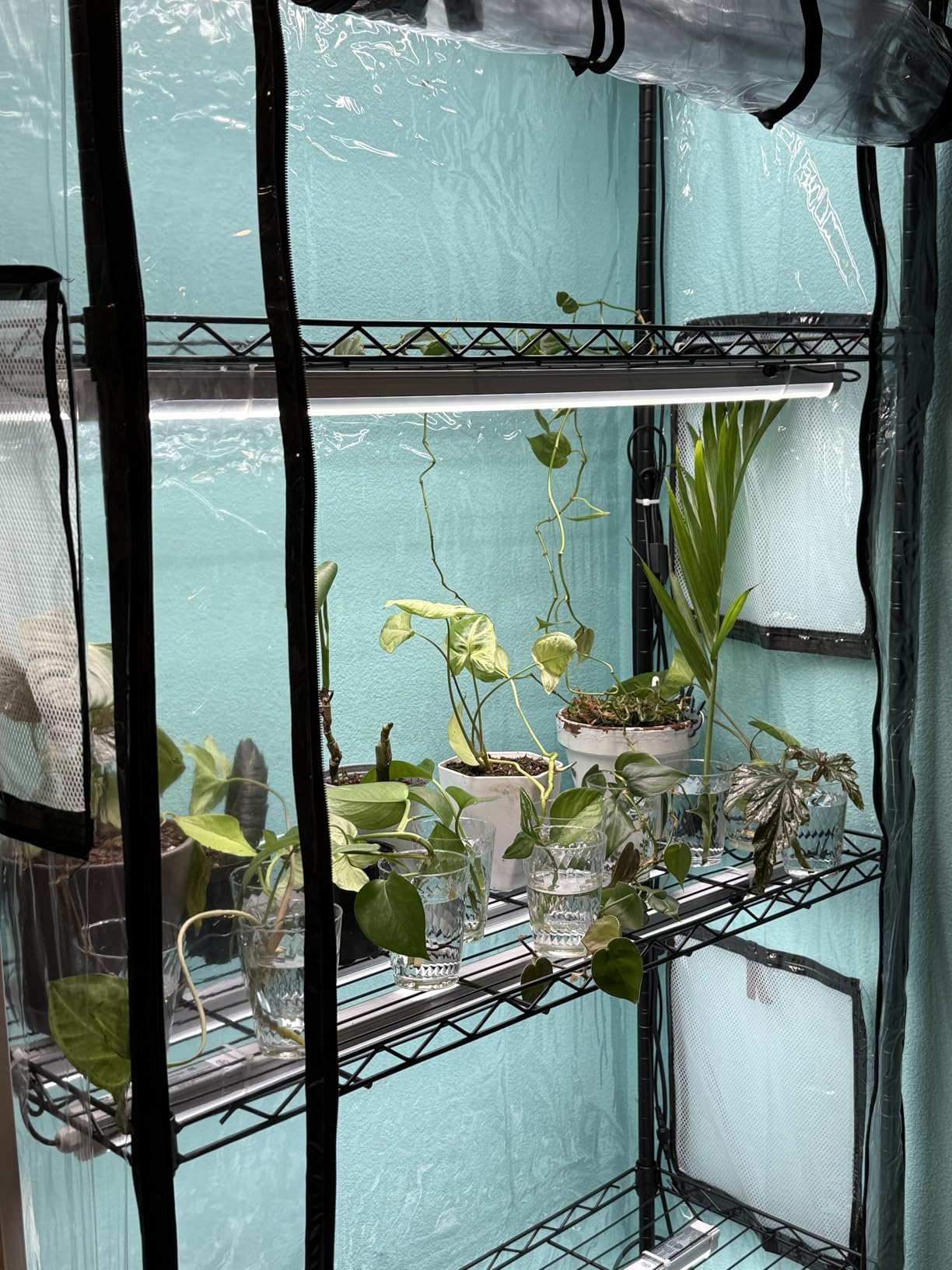 JESLED Indoor Greenhouse with Grow Light, 3FT Full Spectrum 5000K LED Light for Seed Starting, Tiered Lighting Control, Built-in Timer & Thermo-Hygrometer, Rolling Metal Plant Stand (35.4x13.8x70 in) customer photo 2