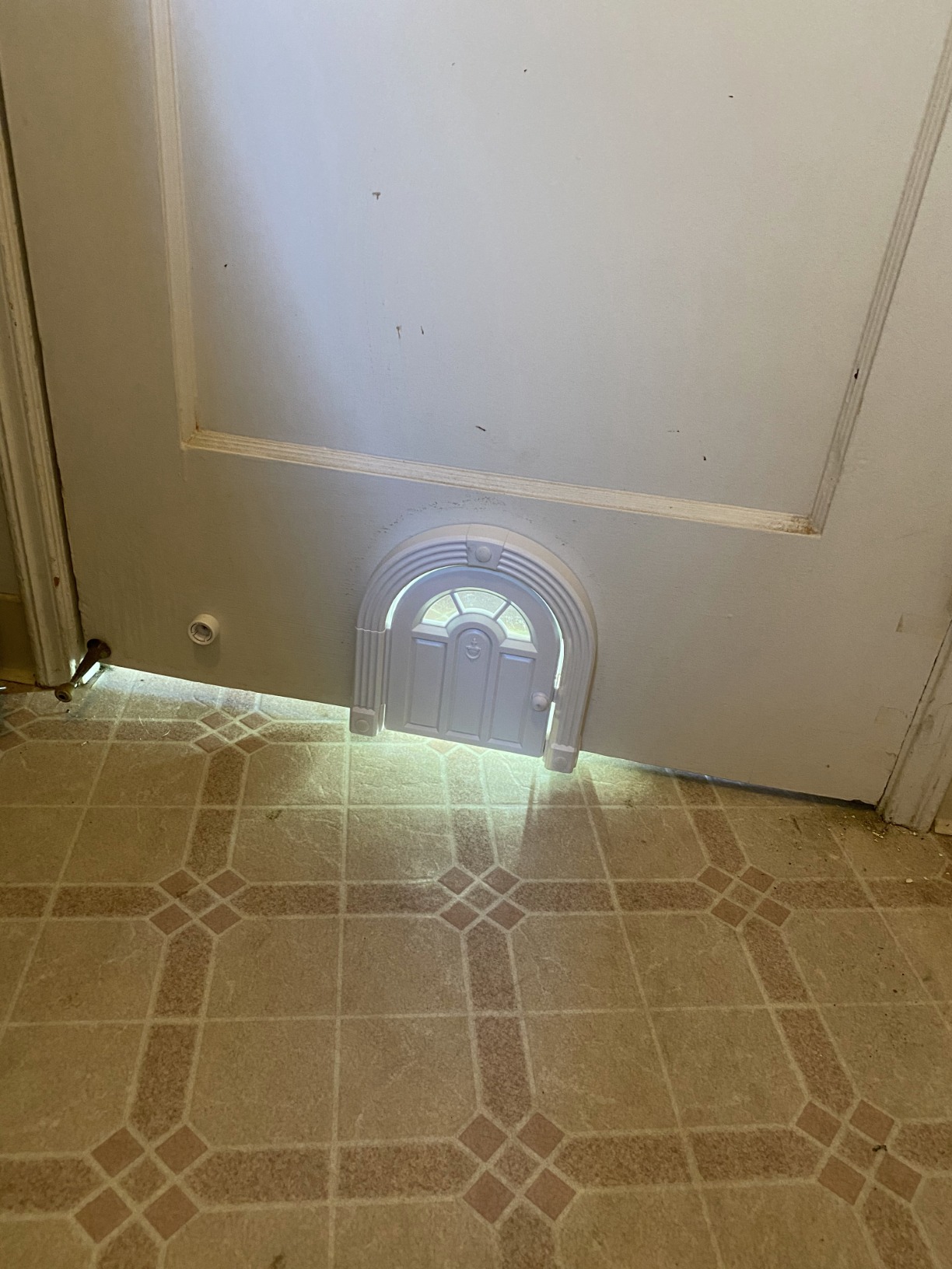Purrfect Portal Meow Manor Cat Door Interior Door - No-Flap, Fits Cats Up to 20 lbs, Easy DIY Setup, No Training Needed, White customer photo 1